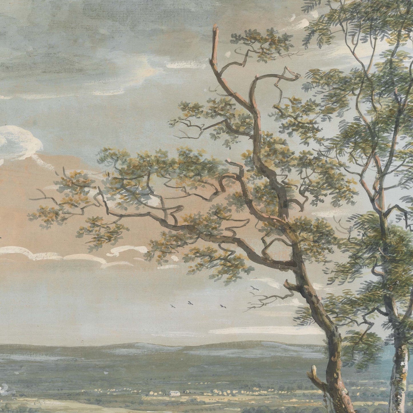 Upper portion of a tree with delicate branches and leaves, set against a soft English sky.