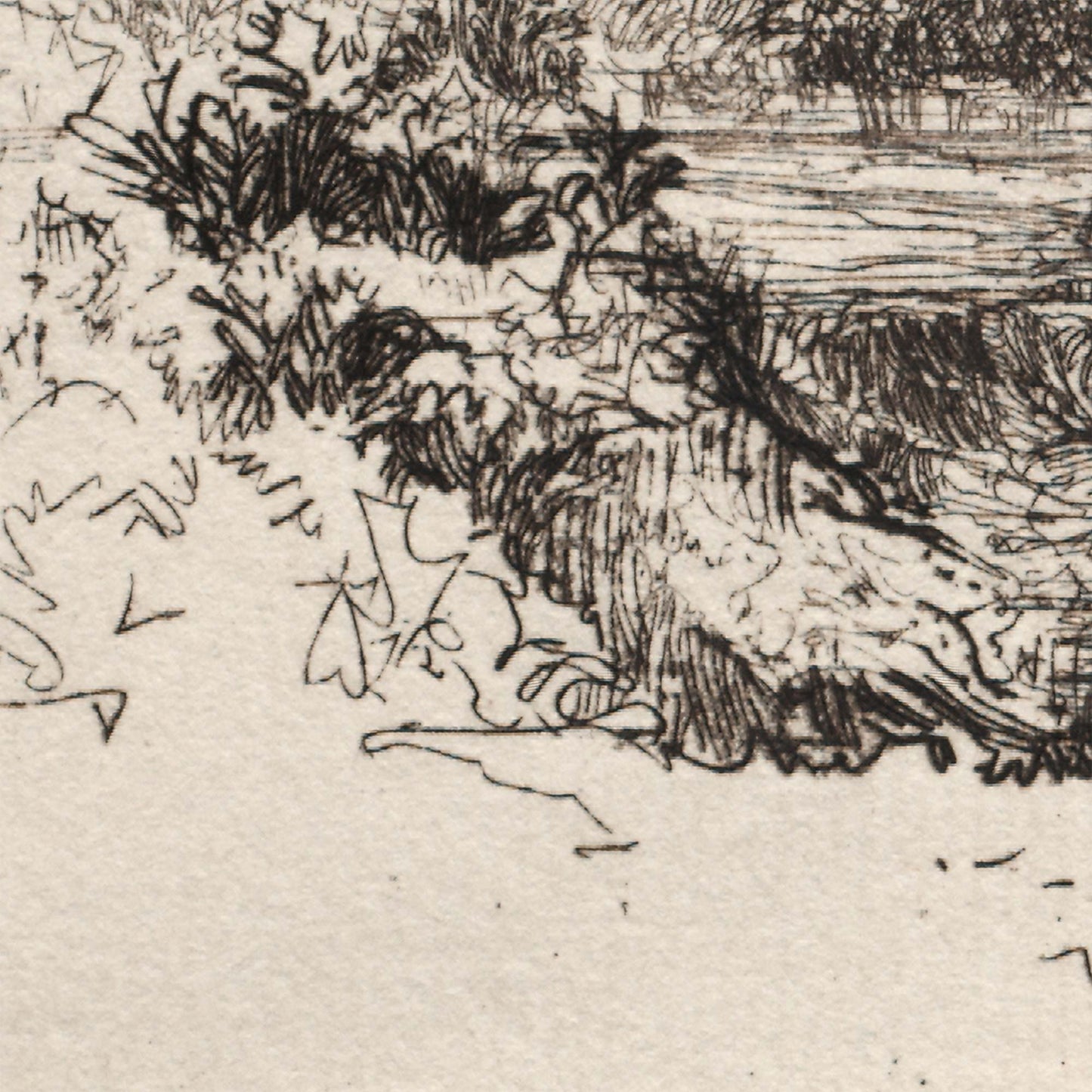A River in Ireland wall mural close-up of the original etching texture