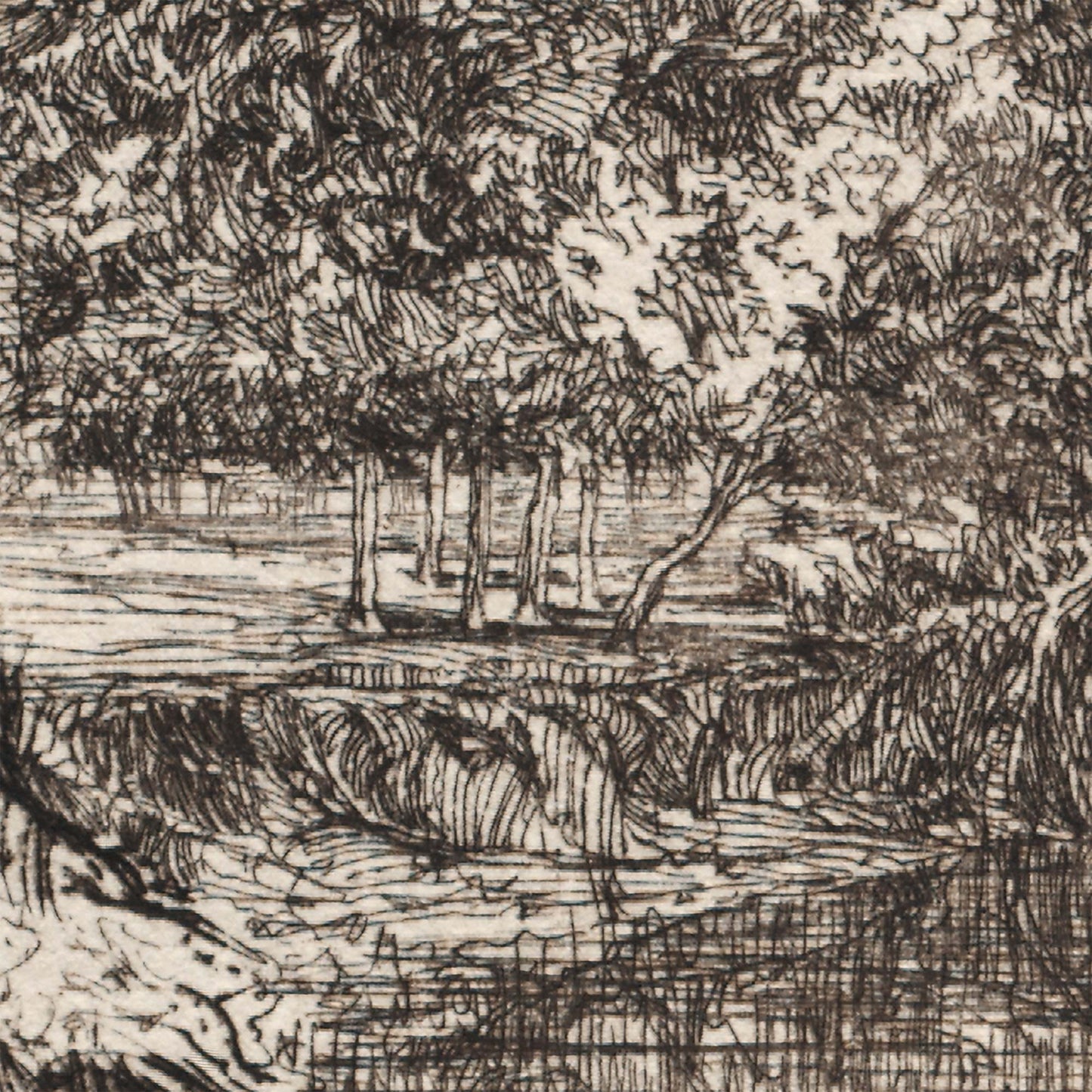 A River in Ireland wall mural close-up of the original etching texture with trees