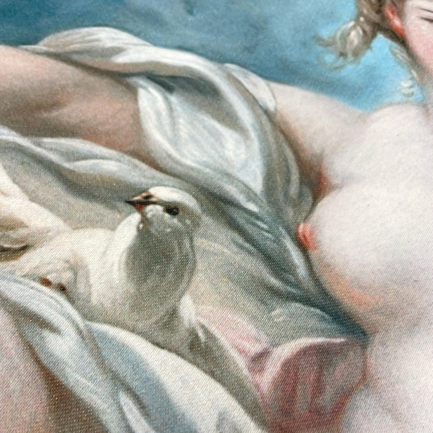 Rococo Pillow Cover Venus on the Waves detail of white dove