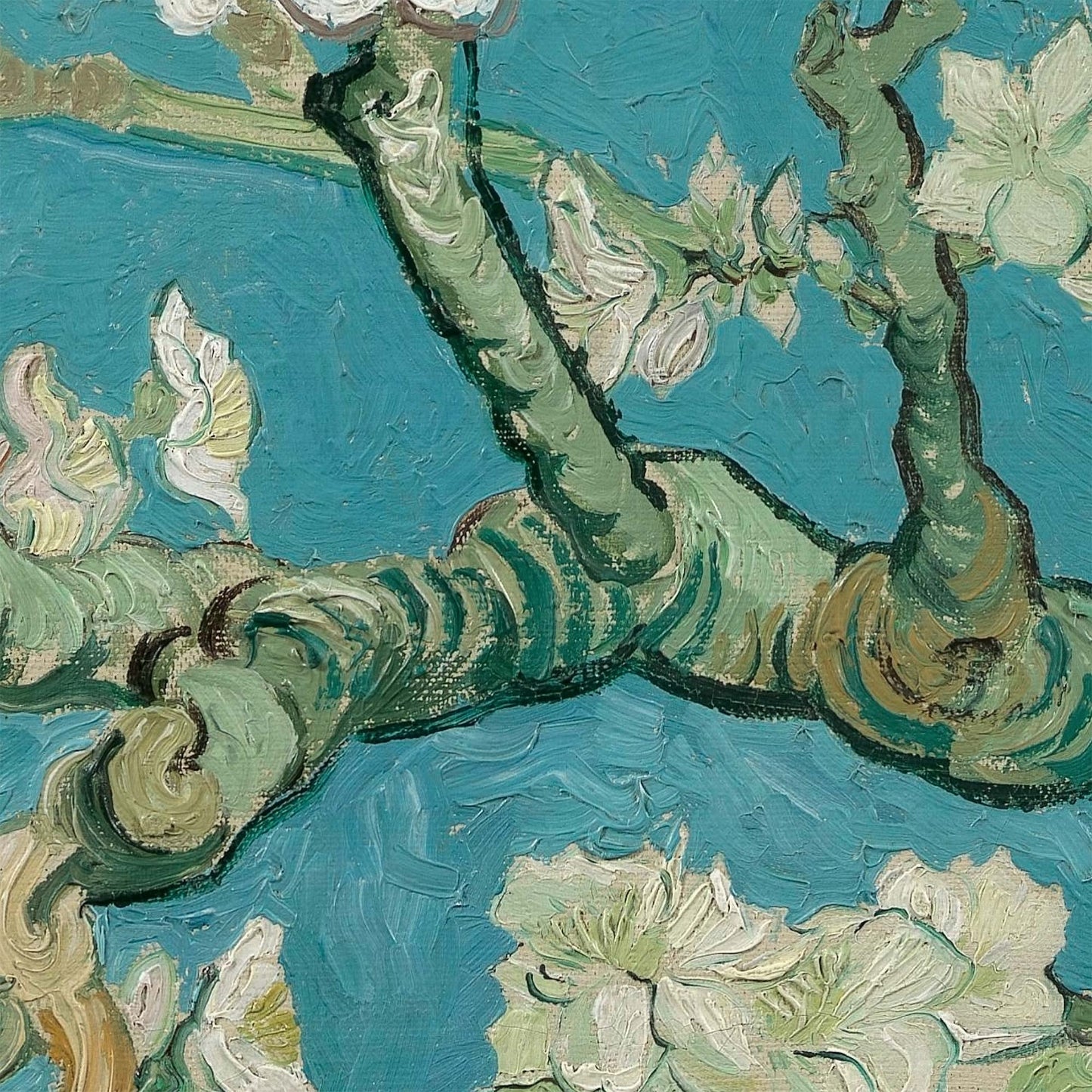 Close-up of green flowering almond tree branches with thick brushstrokes, set against a blue sky background in Van Gogh’s Almond Blossom painting.