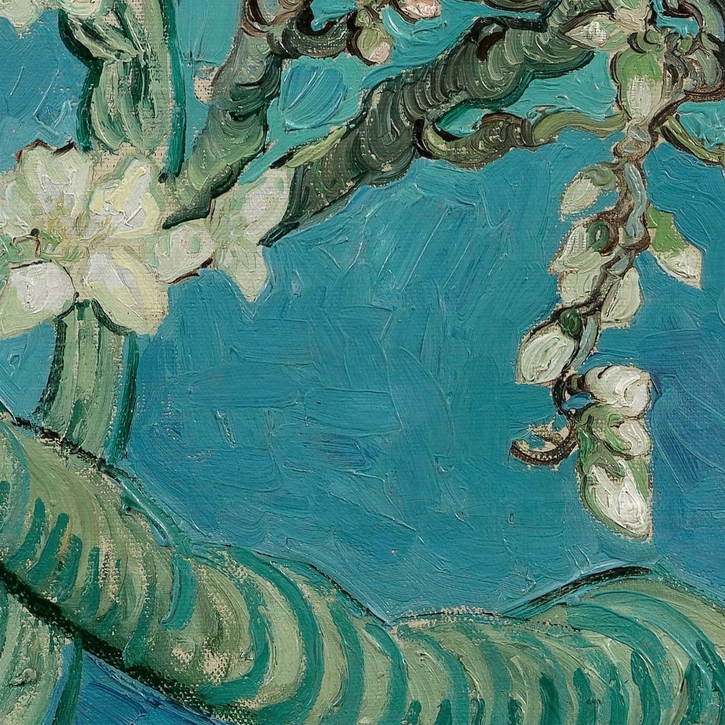 Detailed view of almond blossoms emerging from twisting green branches on a turquoise background, from Van Gogh’s Almond Blossom.