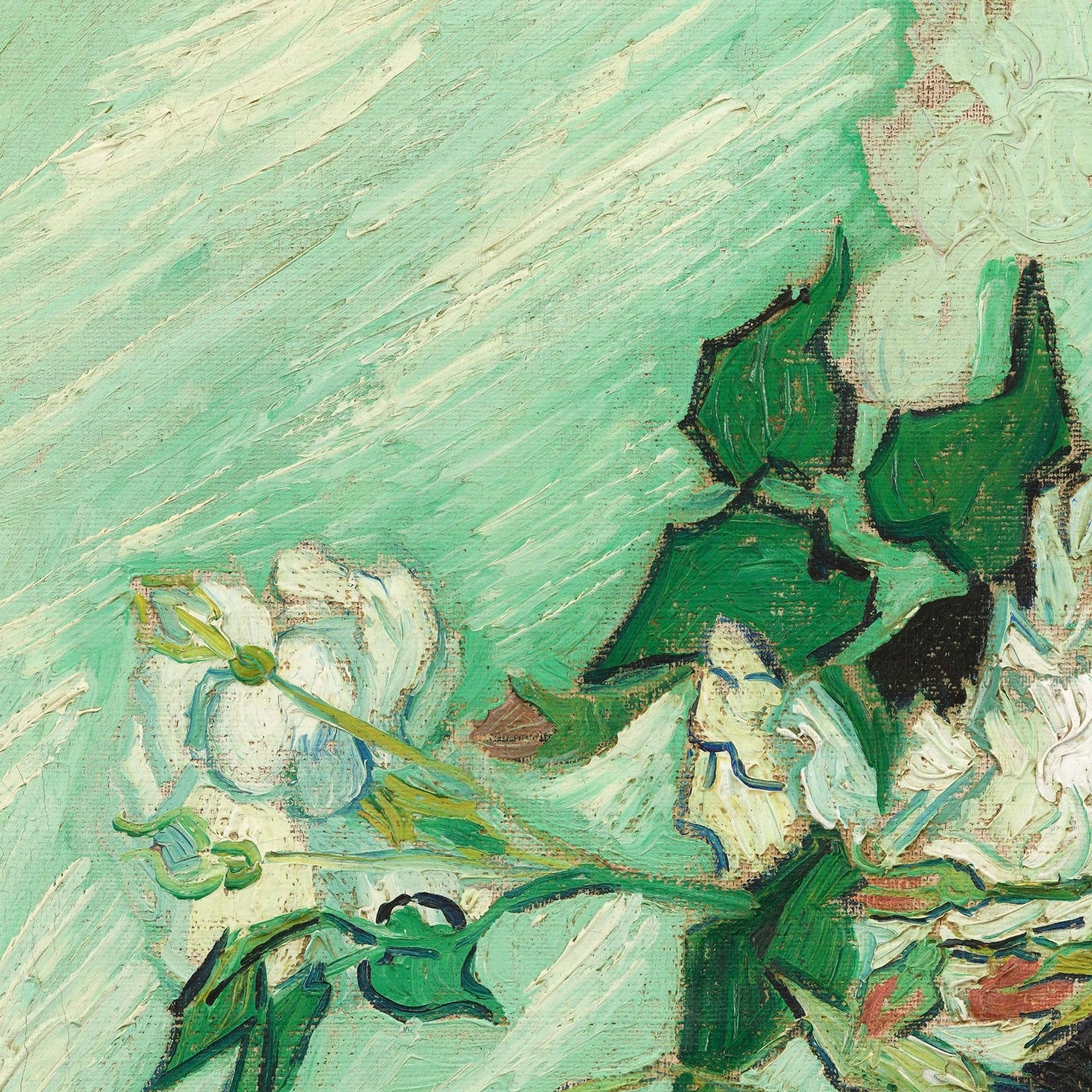 Zoomed detail of white rose and green leaves from Van Gogh’s Roses, showing thick, visible brushstrokes.