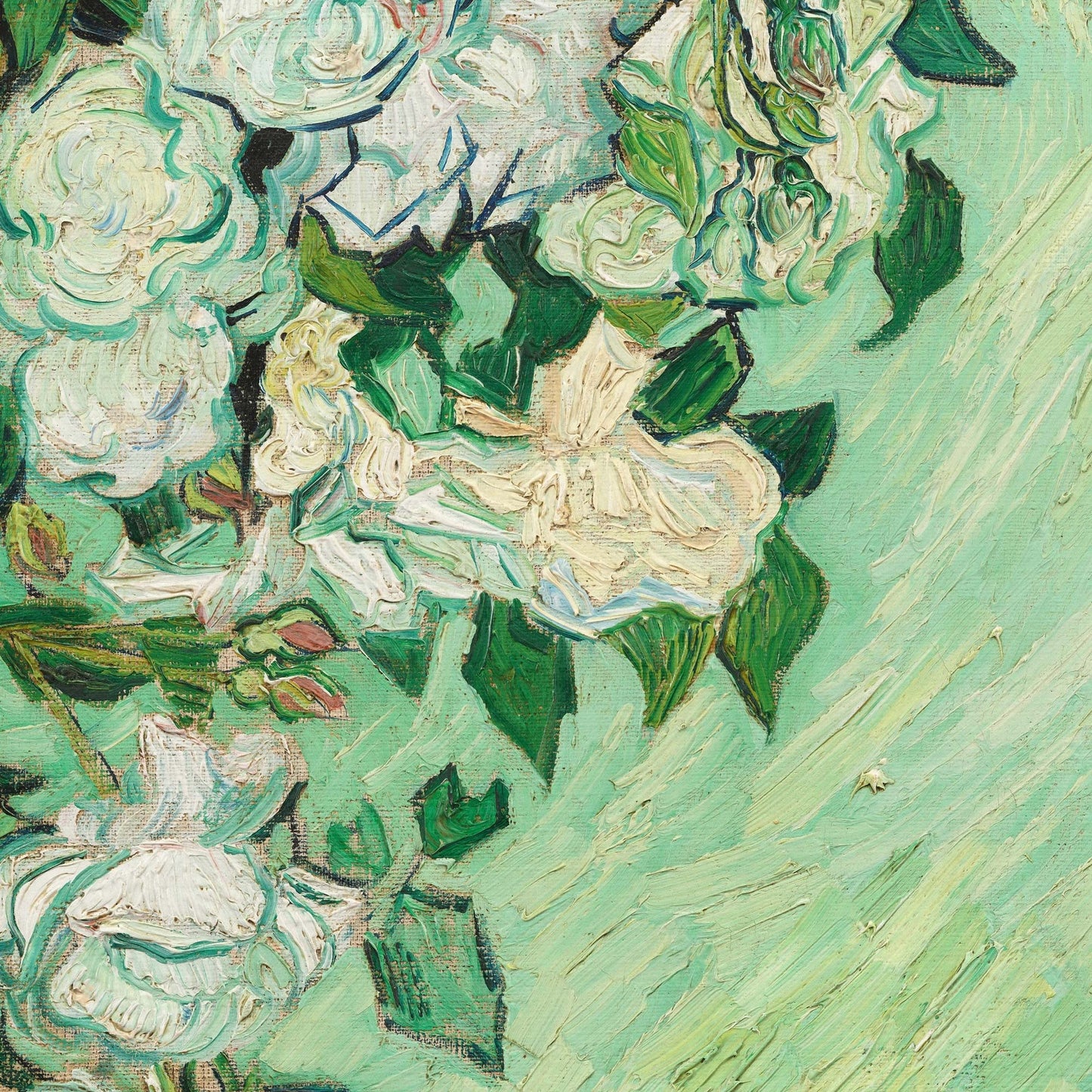 Corner close-up of textured white roses and leaves against a mint green background.