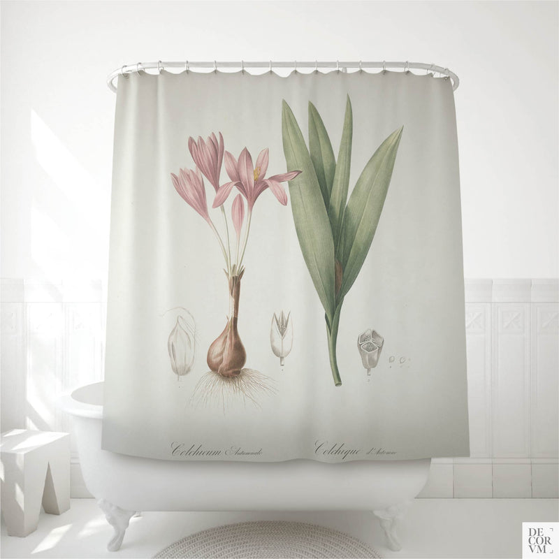 Autumn crocus shower curtain hung over a white clawfoot tub in a bright bathroom — an antique French floral plate of Colchicum autumnale in pale lilac printed on soft cream fabric by Decorvm.