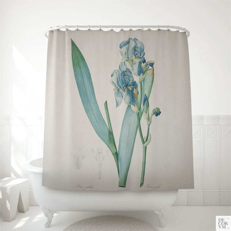 Blue Dalmatian iris shower curtain hung over a white clawfoot tub in a bright bathroom — an antique French botanical plate of Iris pallida printed on soft cream fabric by Decorvm.
