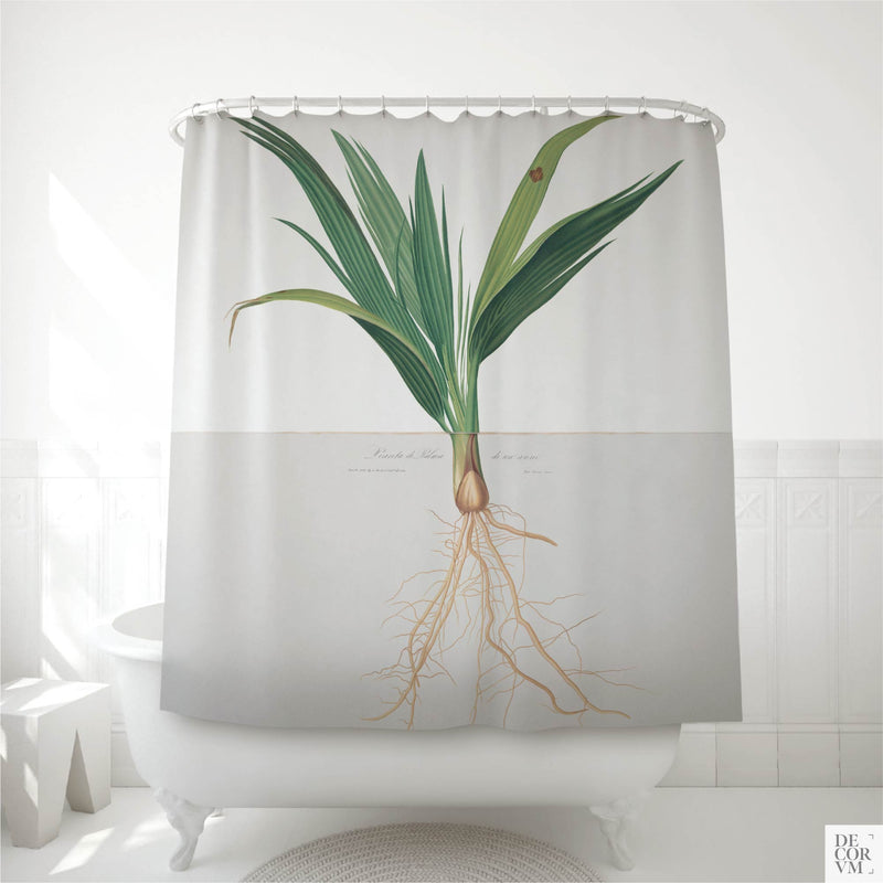 Date palm botanical shower curtain hung over a white clawfoot tub in a bright bathroom — a 19th-century Italian Mediterranean print of a young palm printed on soft cream fabric by Decorvm.