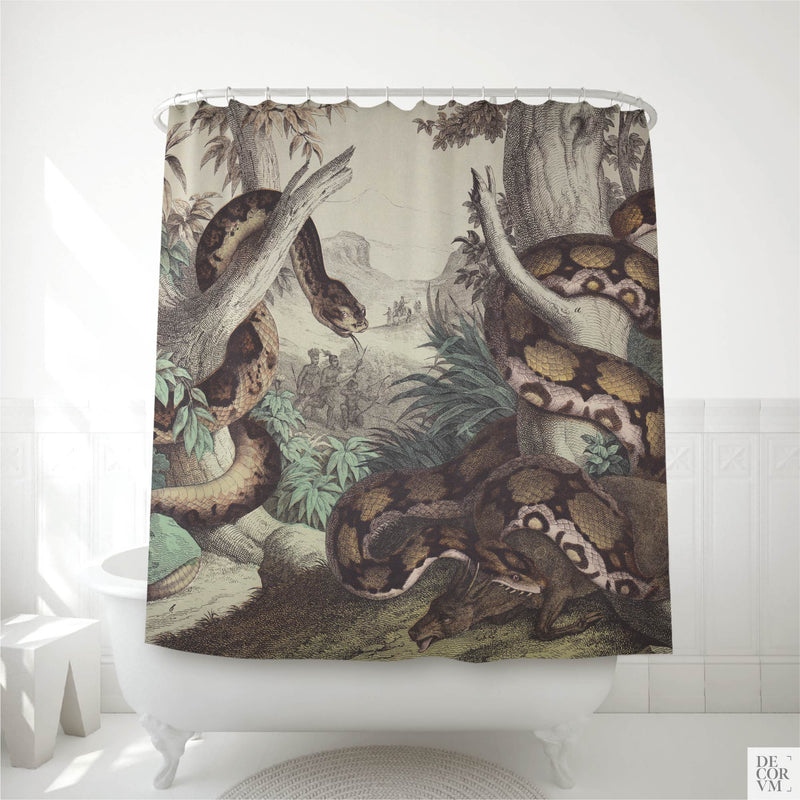 Vintage python shower curtain hanging over a white clawfoot bathtub in a bright bathroom — a dramatic 19th-century natural history engraving of coiled pythons in a tropical landscape with distant hunters, by Decorvm.
