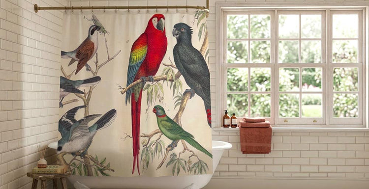 An elegant bathroom setting featuring a shower curtain with vintage illustrations of tropical birds, hanging in front of a white bathtub against cream subway tiles with natural light from a nearby window.