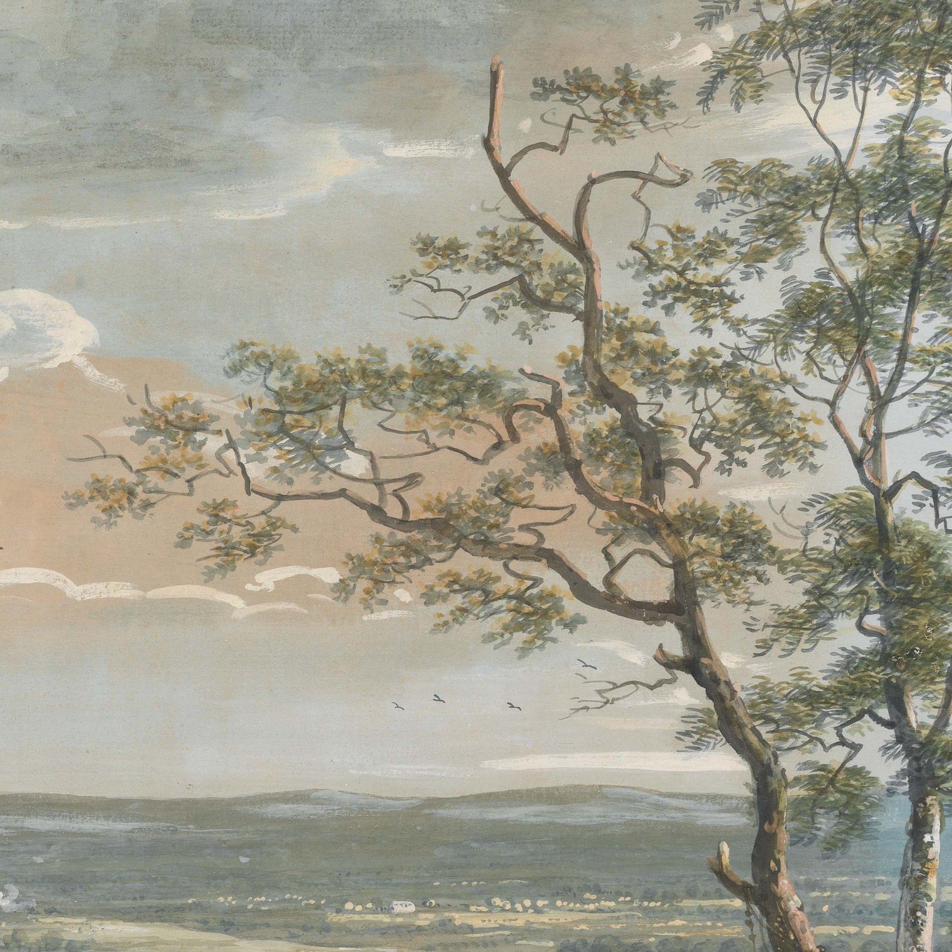 Upper portion of a tree with delicate branches and leaves, set against a soft English sky.