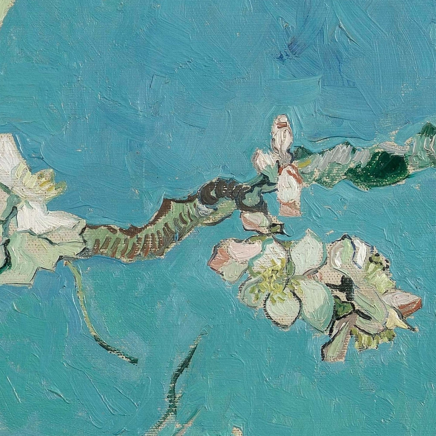 Painted cluster of almond flowers with soft white and pink tones on delicate branches, from Van Gogh’s Almond Blossom artwork.