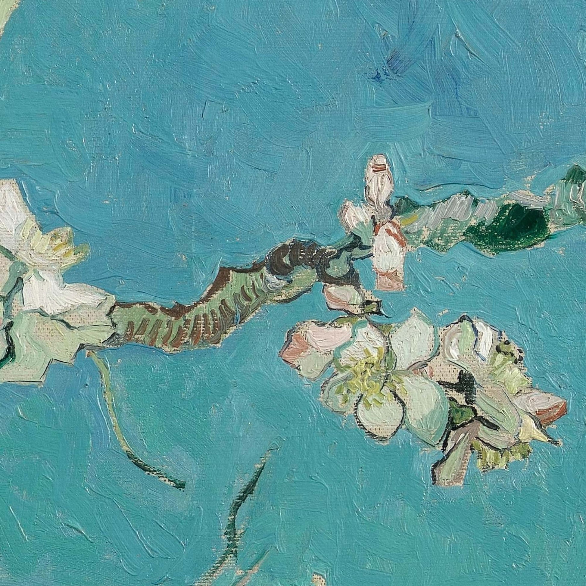 Painted cluster of almond flowers with soft white and pink tones on delicate branches, from Van Gogh’s Almond Blossom artwork.