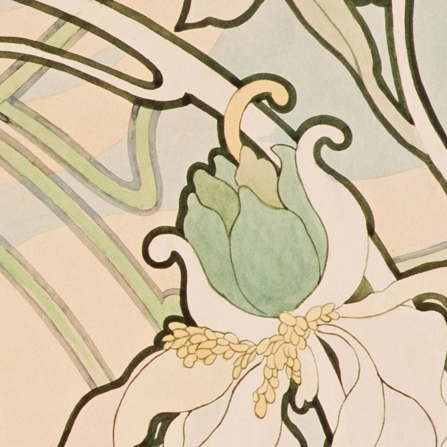 Alphonse Mucha Peonies wallpaper close-up of a green and beige flower