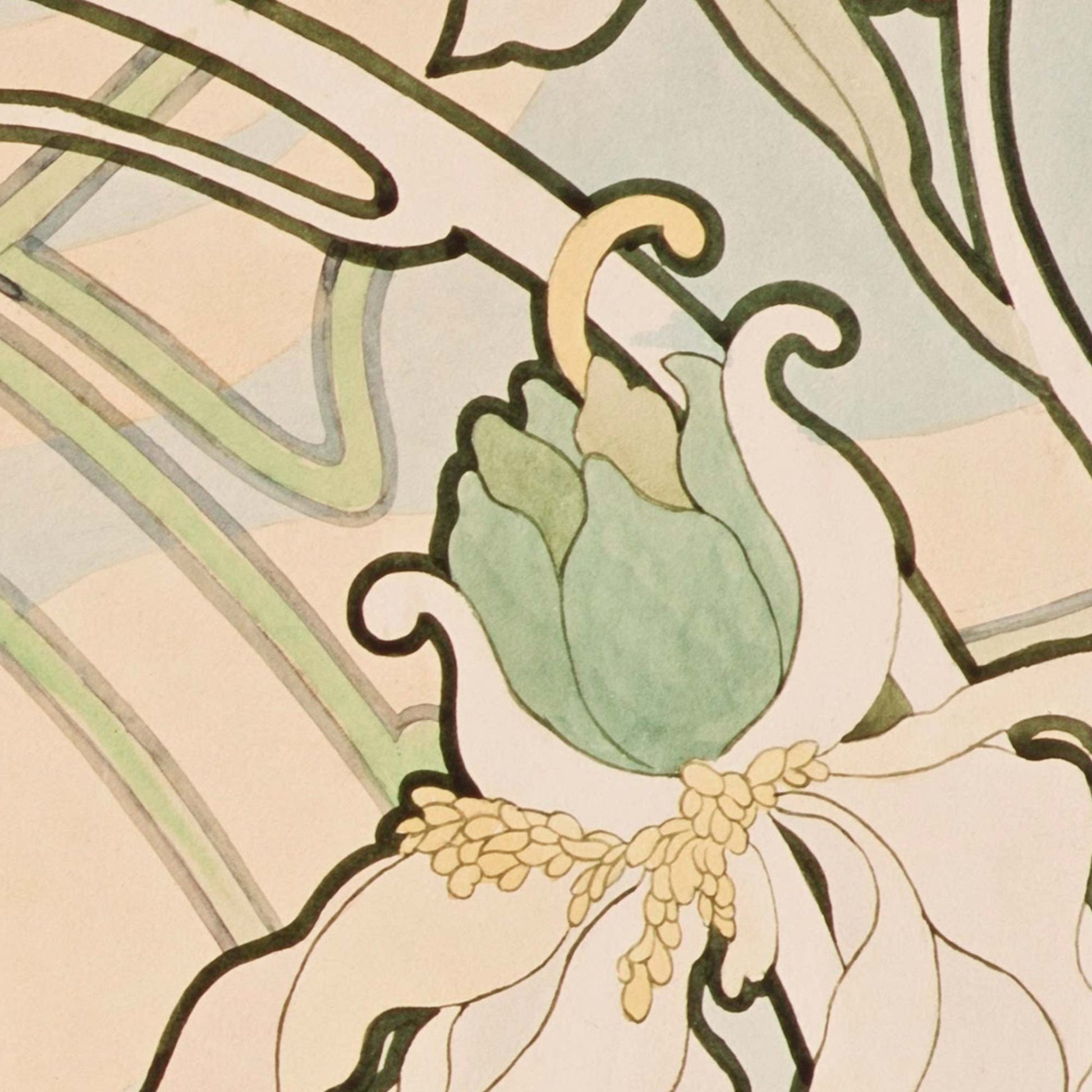Alphonse Mucha Peonies wallpaper close-up of a green and beige flower