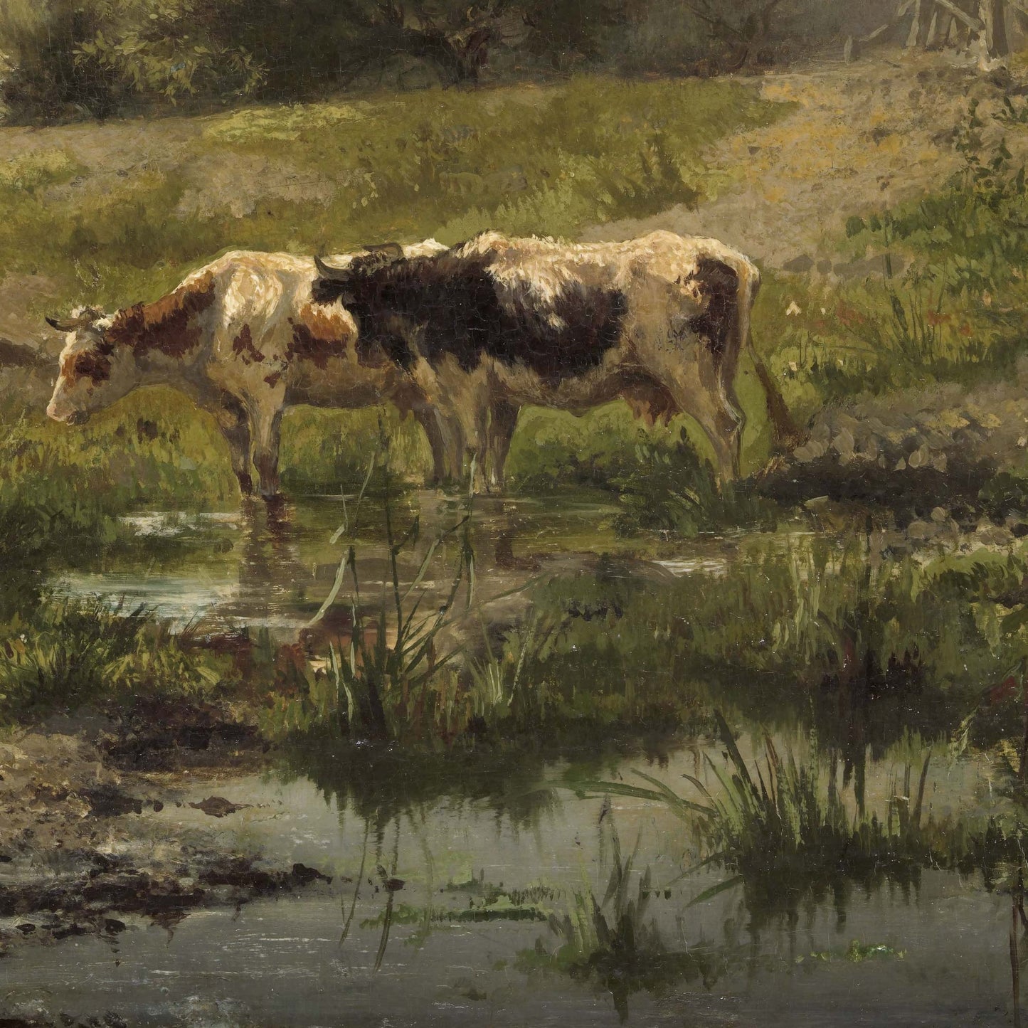 Detail of two cows drinking at a pond with reflections and grasses, Gerard Bilders Dutch landscape, 1856.