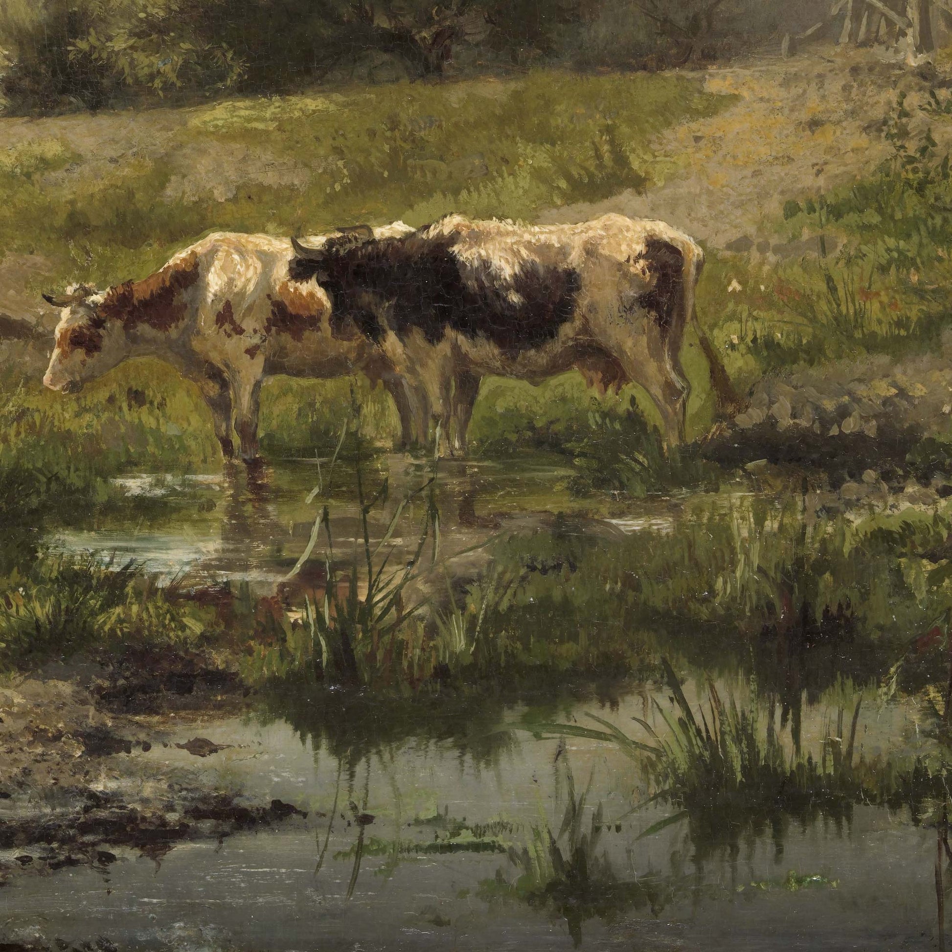 Detail of two cows drinking at a pond with reflections and grasses, Gerard Bilders Dutch landscape, 1856.