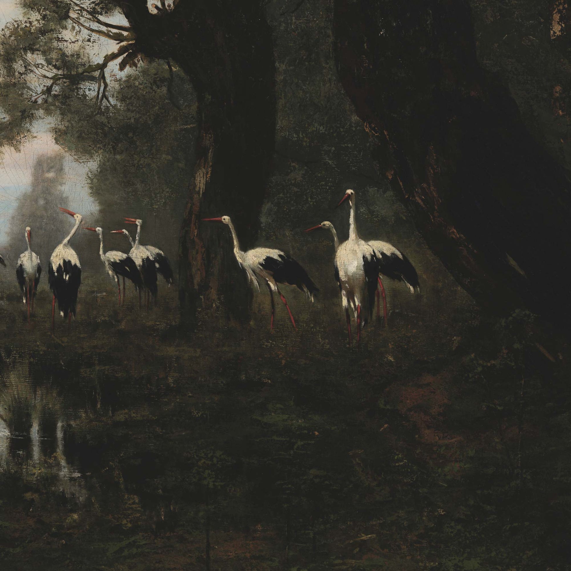 Close-up of Gathering Storks artwork with a group of storks standing in a shadowy forest clearing, deep greens and moody light.