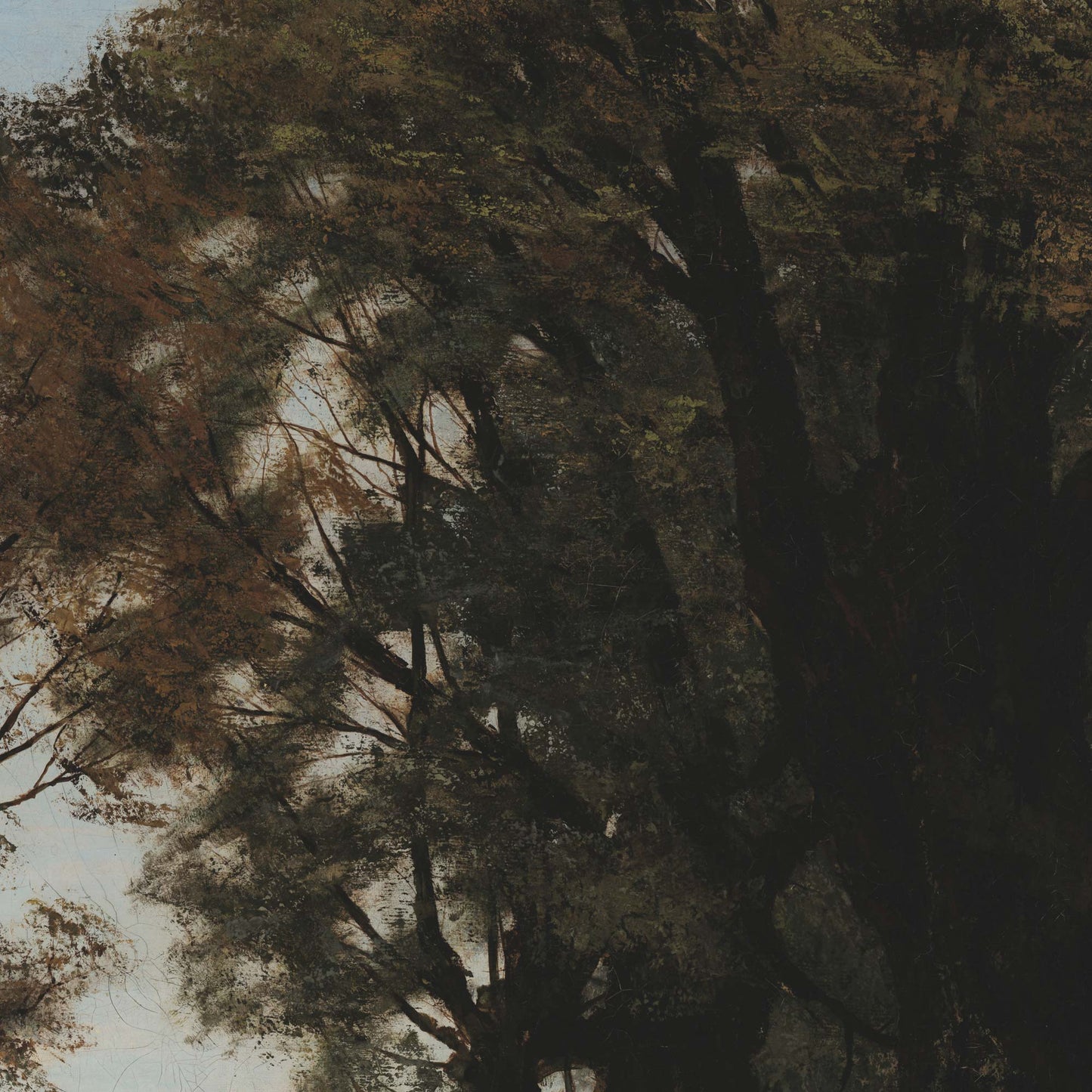 Close-up of Gathering Storks artwork highlighting dense woodland foliage and layered treetops in dark, atmospheric tones.