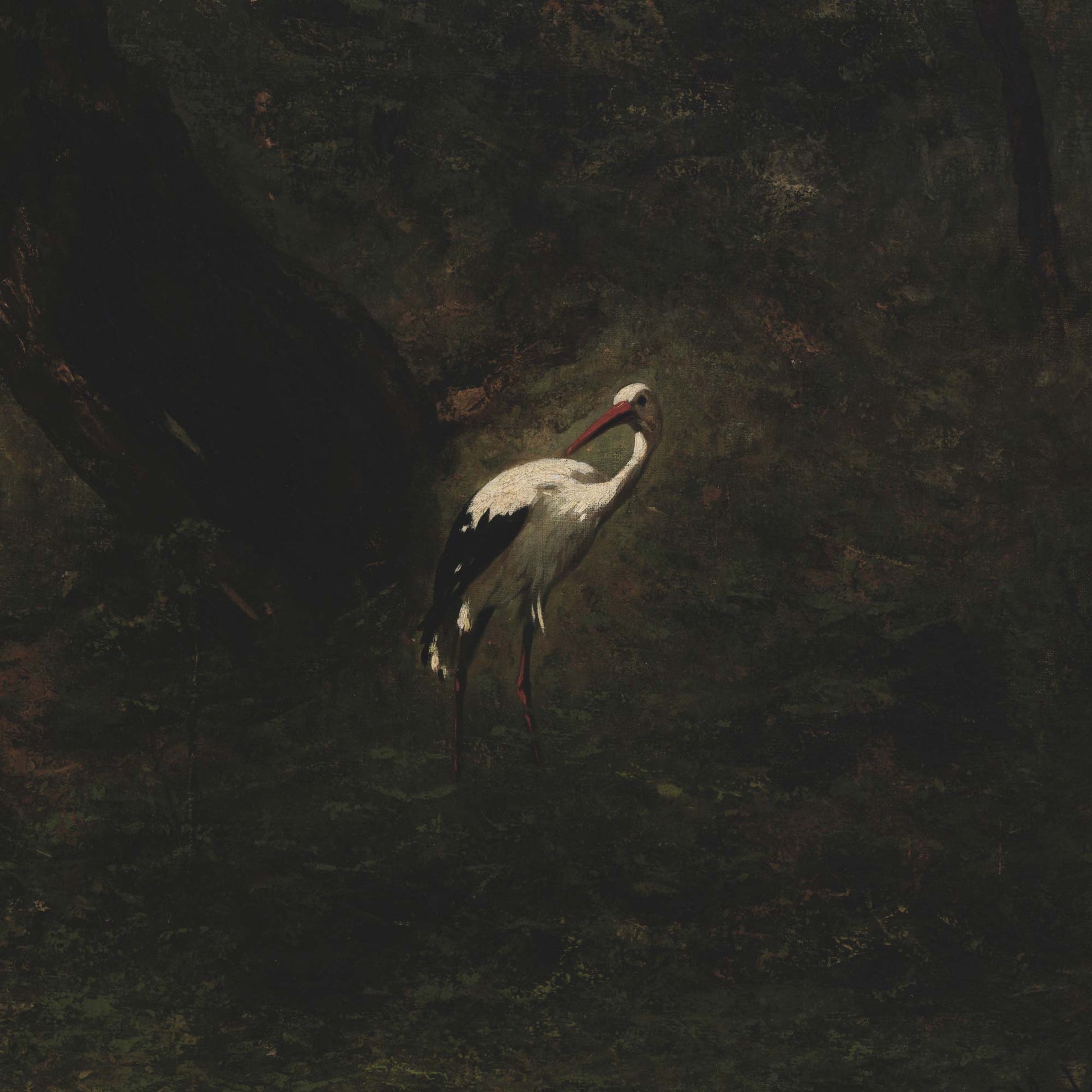 Close-up of Gathering Storks artwork featuring a single white stork with a red beak in a dark forest setting, softly illuminated.