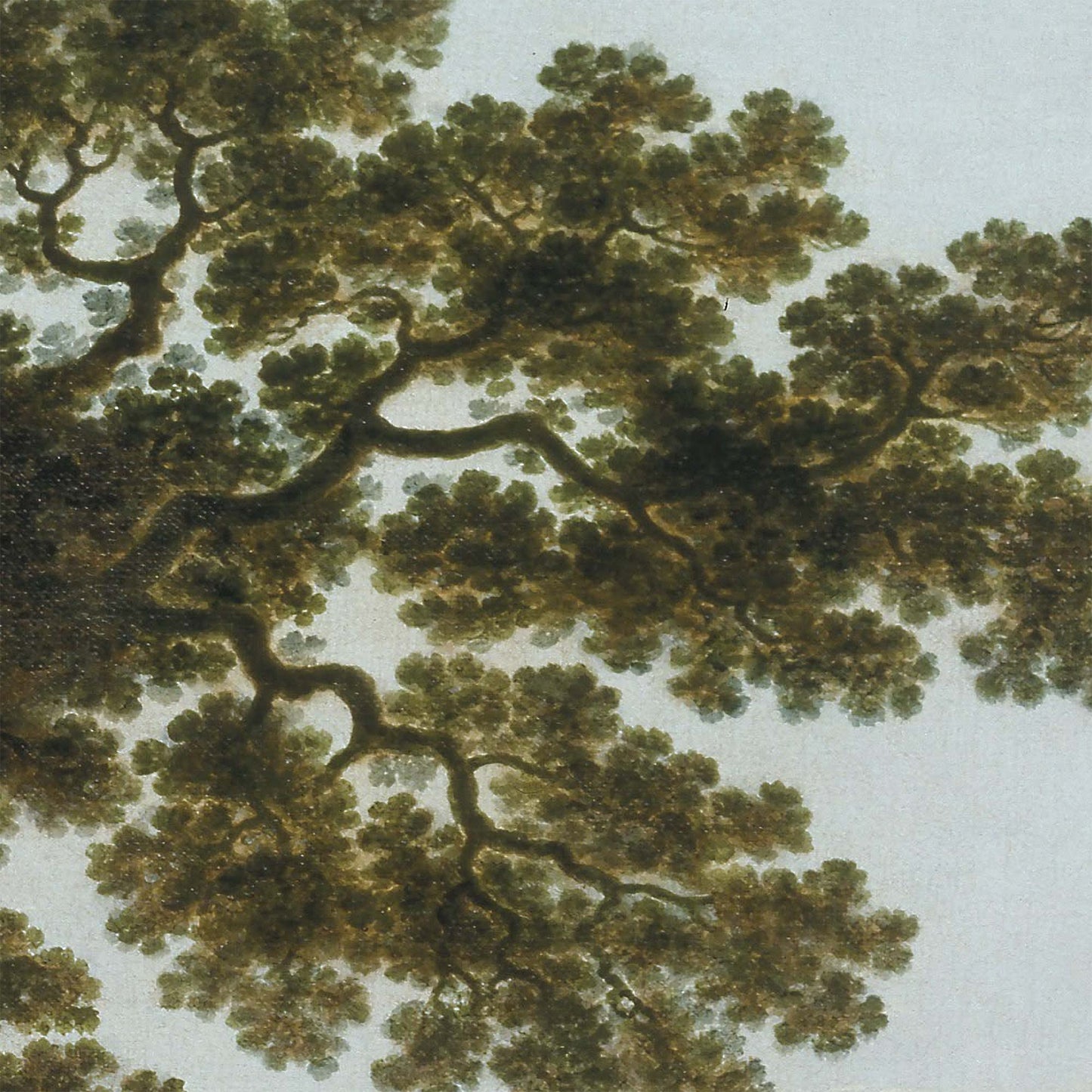 Italian Vista Landscape Wallpaper Mural detail—oak canopy with clustered leaves and branching limbs against a pale sky.