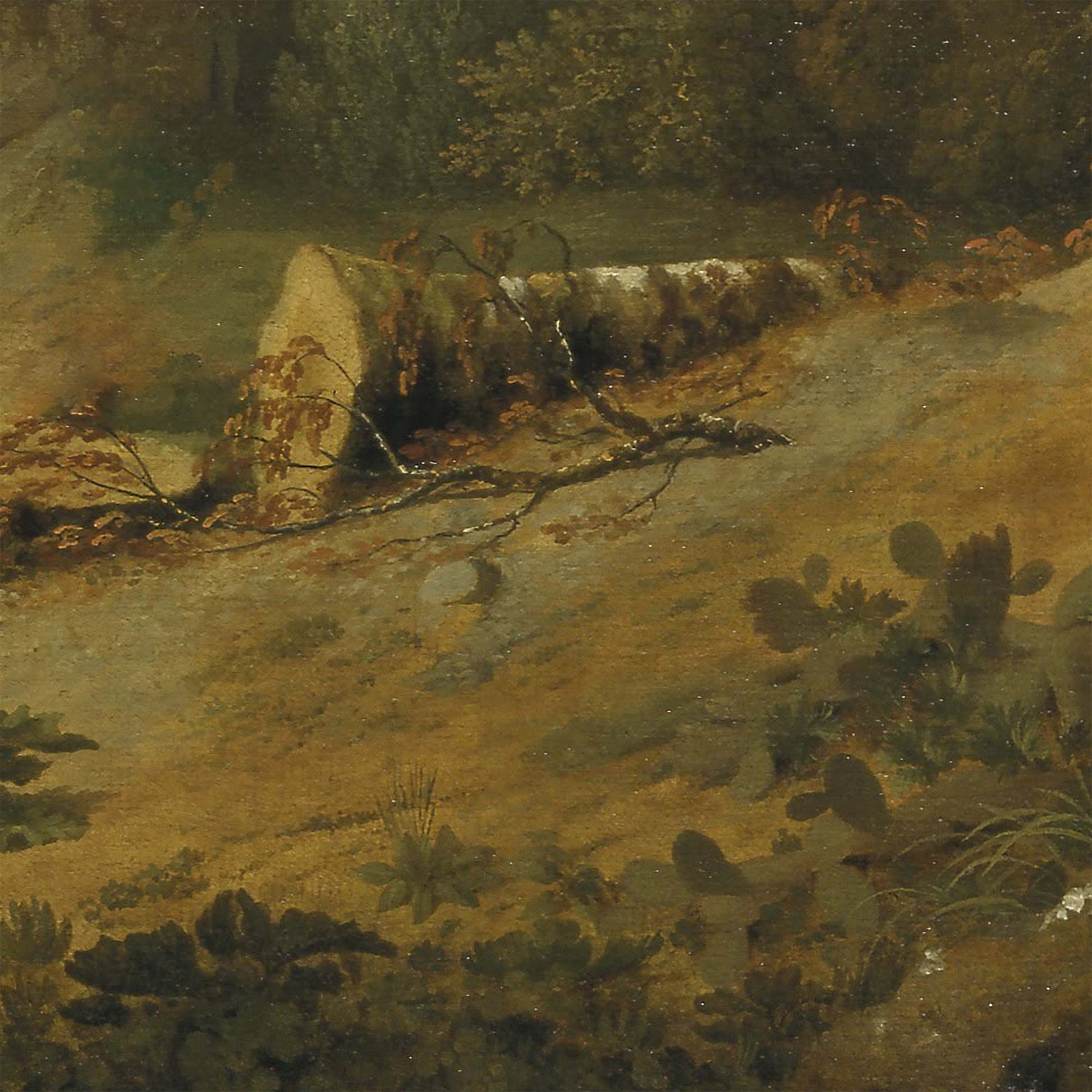 Italian Vista Landscape Wallpaper Mural detail—sunlit hillside with a fallen trunk, twiggy branch, and low groundcover.