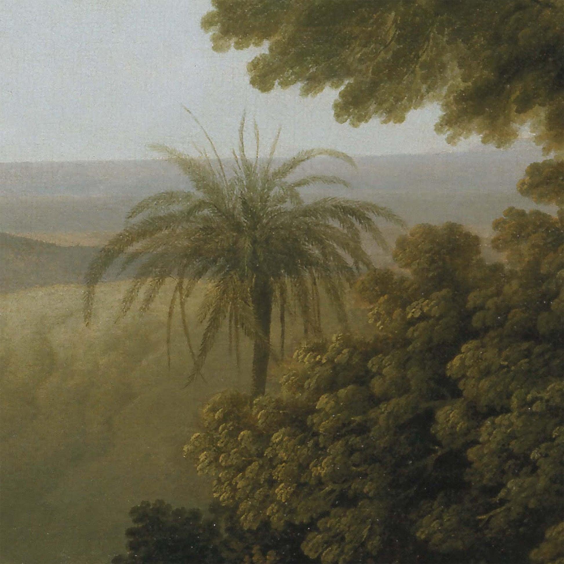 Italian Vista Landscape Wallpaper Mural detail—graceful palm and dense foliage framing a misty valley beyond.