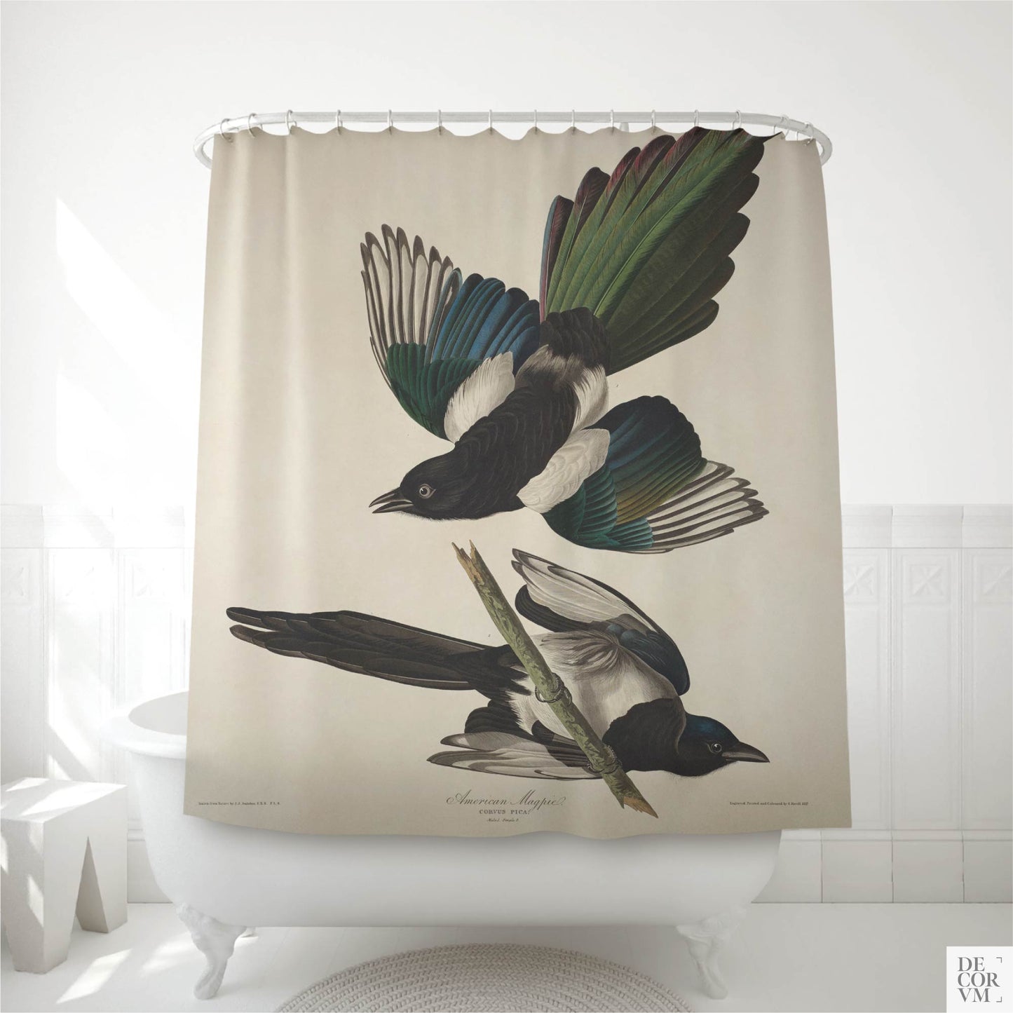 American Magpie shower curtain hanging over a white clawfoot bathtub in a bright bathroom — Audubon's dramatic pair of magpies with iridescent green and blue plumage against a cream ground, by Decorvm.