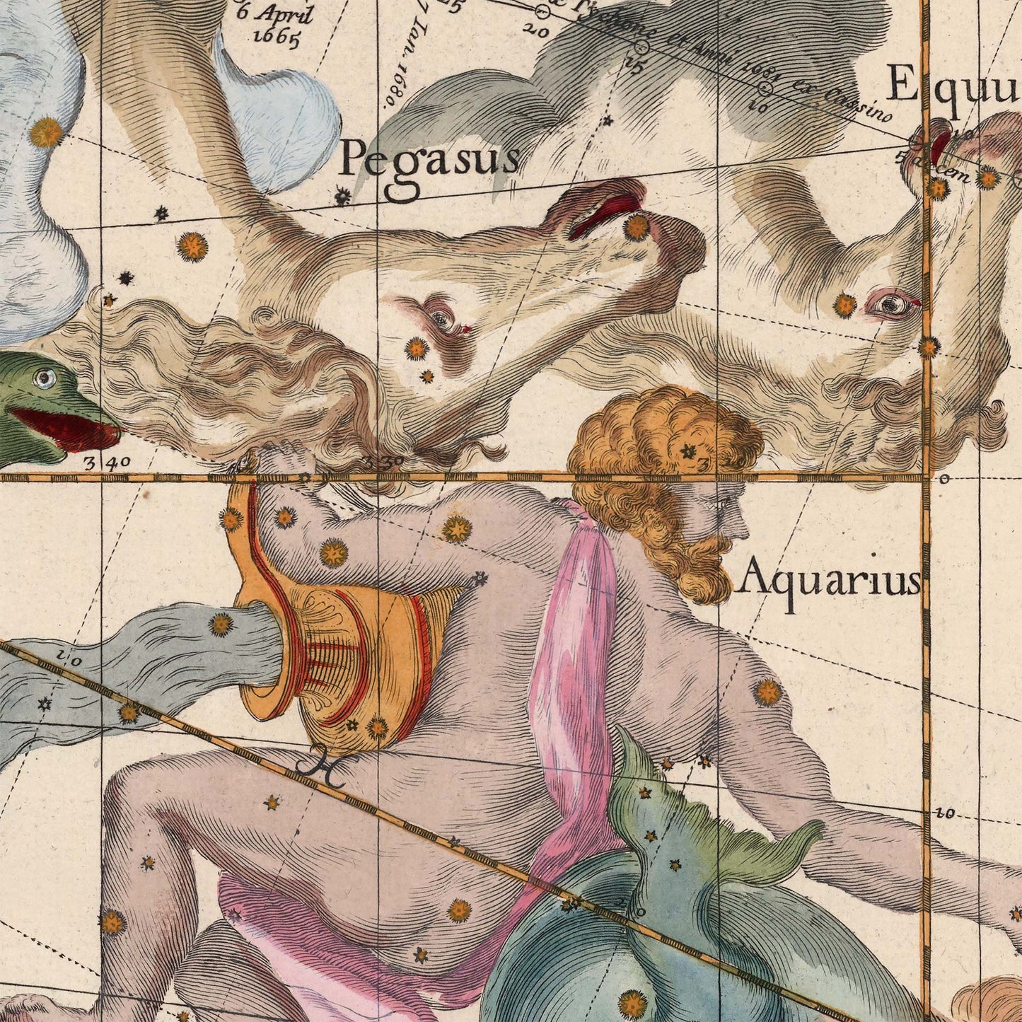 Close-up of an elegant astrology home decor print showcasing the Aquarius water bearer and Pegasus winged horse from a 17th-century celestial atlas.