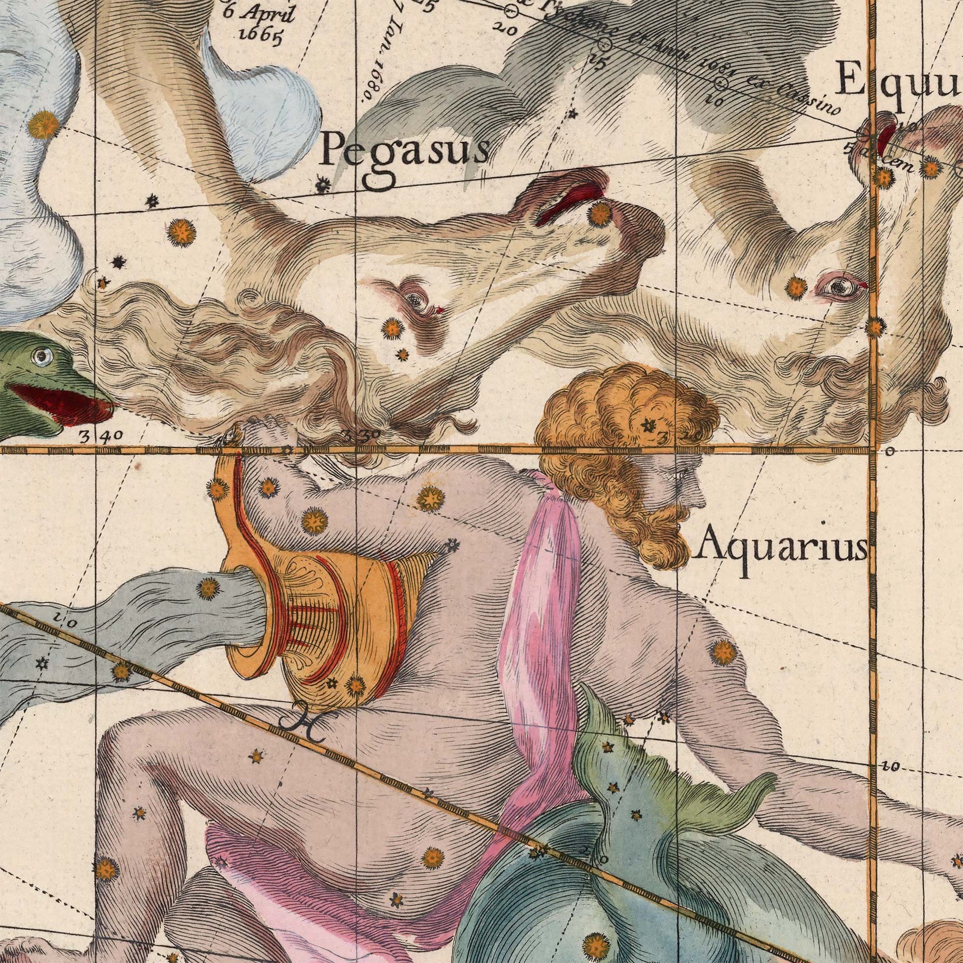 Close-up of an elegant astrology home decor print showcasing the Aquarius water bearer and Pegasus winged horse from a 17th-century celestial atlas.