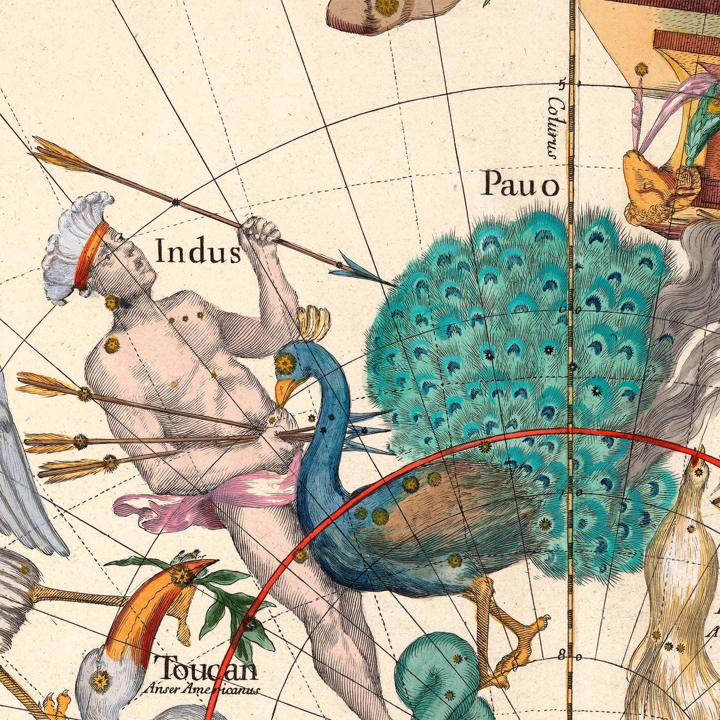 Indus and Pavo peacock constellations — design detail from the 1693 Pardies southern hemisphere star chart.