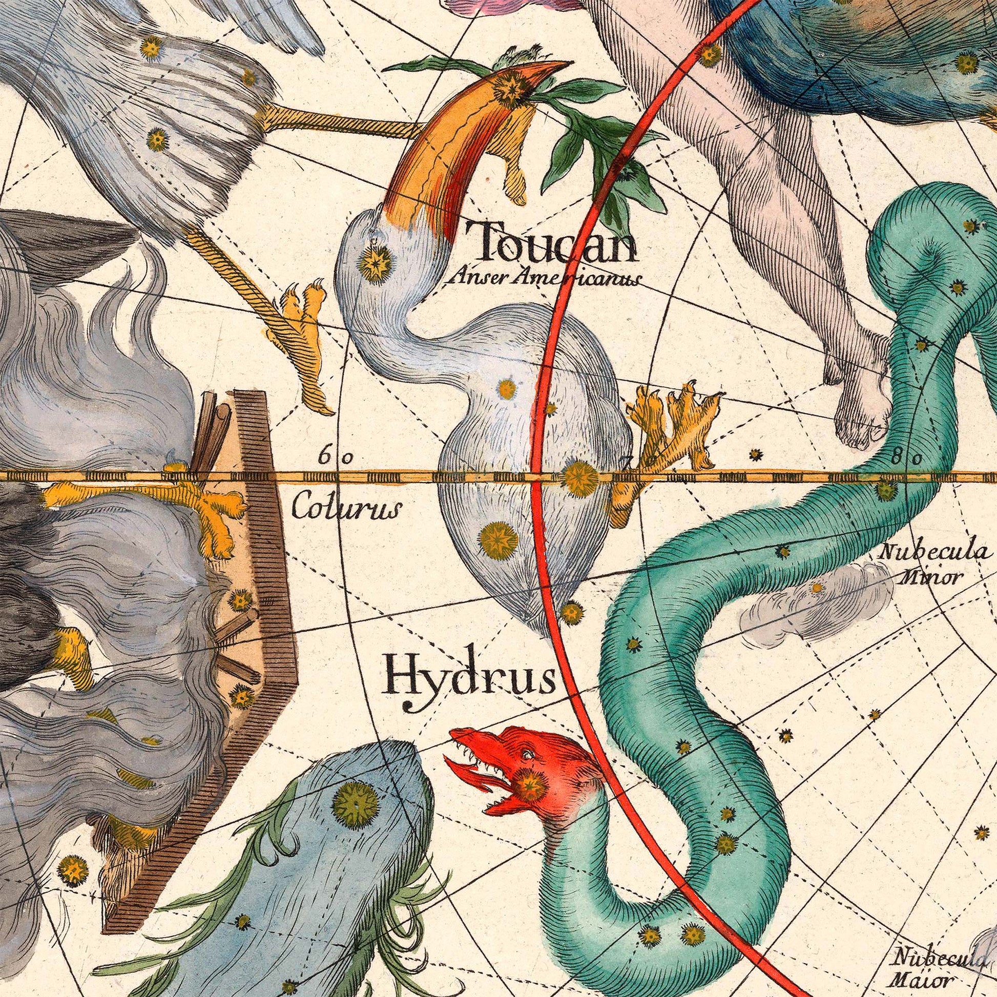 Toucan and Hydrus water snake constellations — design detail from the 1693 Pardies southern hemisphere star chart.