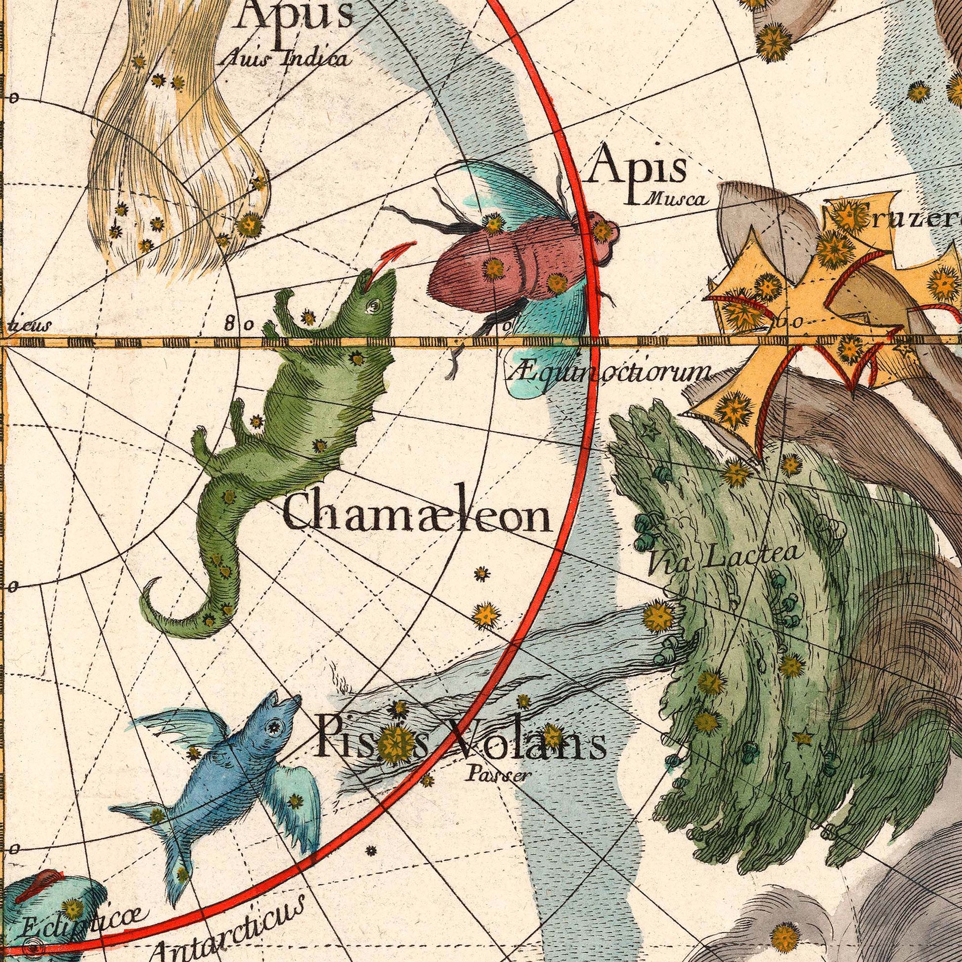Chamaeleon, Apis, and Piscis Volans constellations — design detail from the 1693 Pardies southern hemisphere star chart.