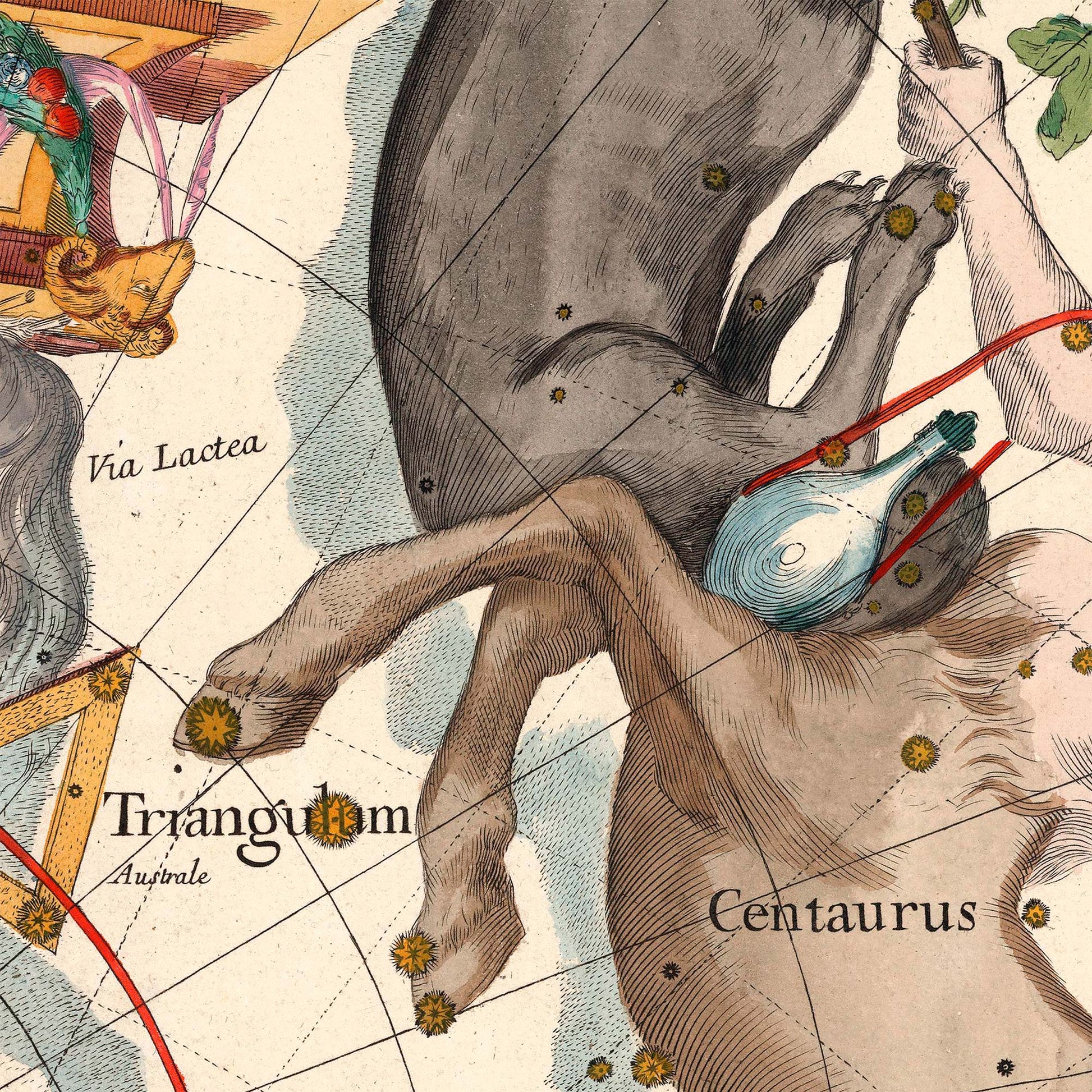 Centaurus and Triangulum Australe constellations — design detail from the 1693 Pardies southern hemisphere star chart.