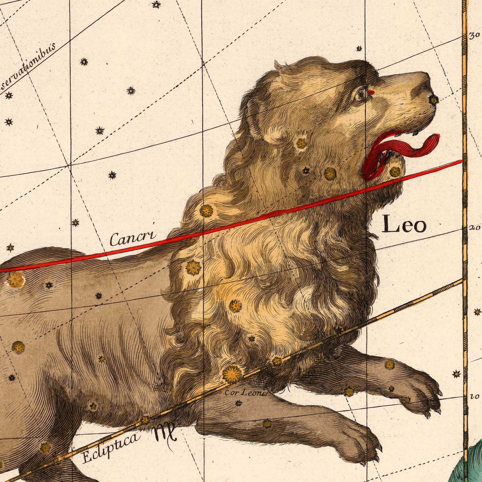 Leo lion constellation in mid-stride — engraving detail from the 1693 Pardies celestial star chart.