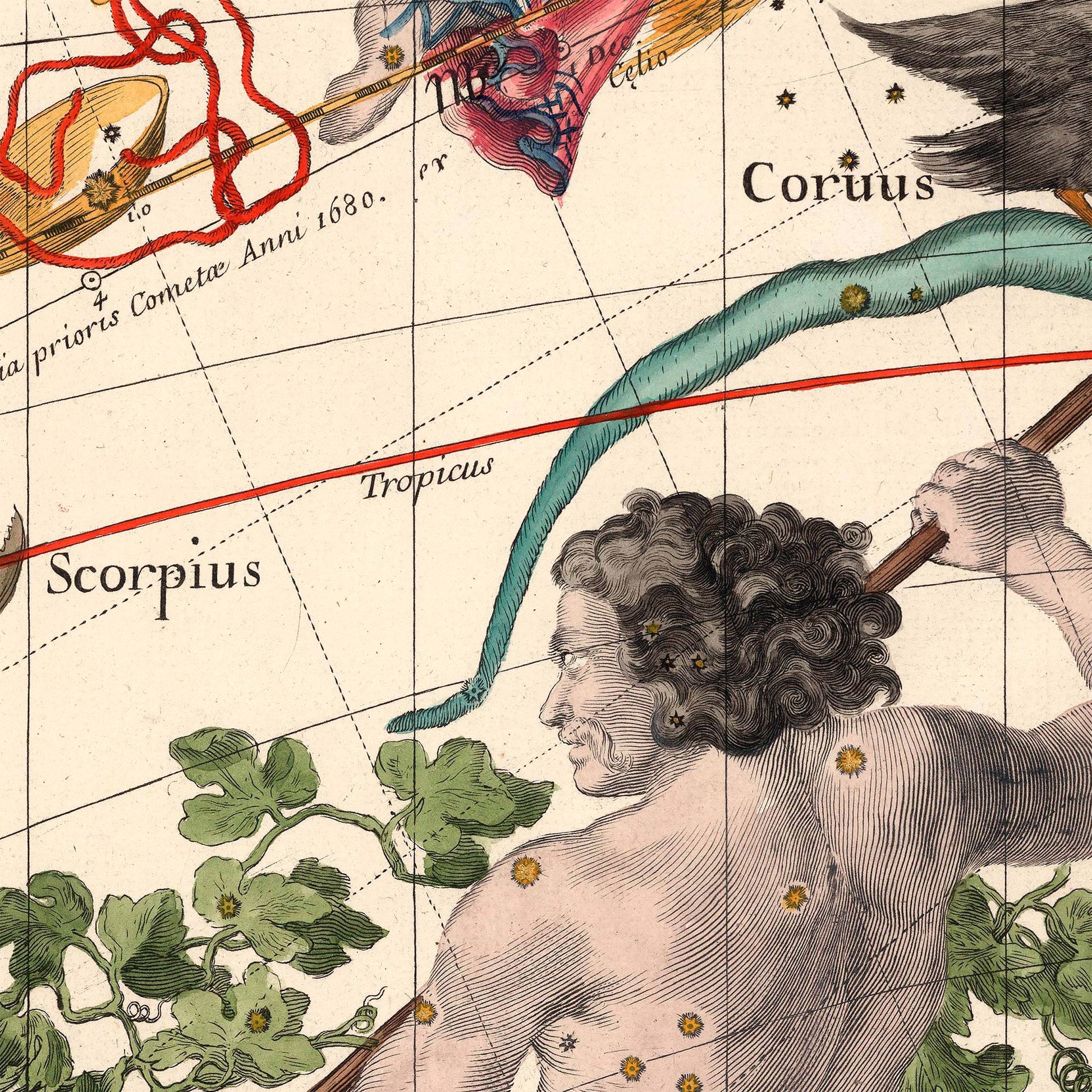 Scorpius and Corvus constellations — engraving detail from the 1693 Pardies celestial star chart.