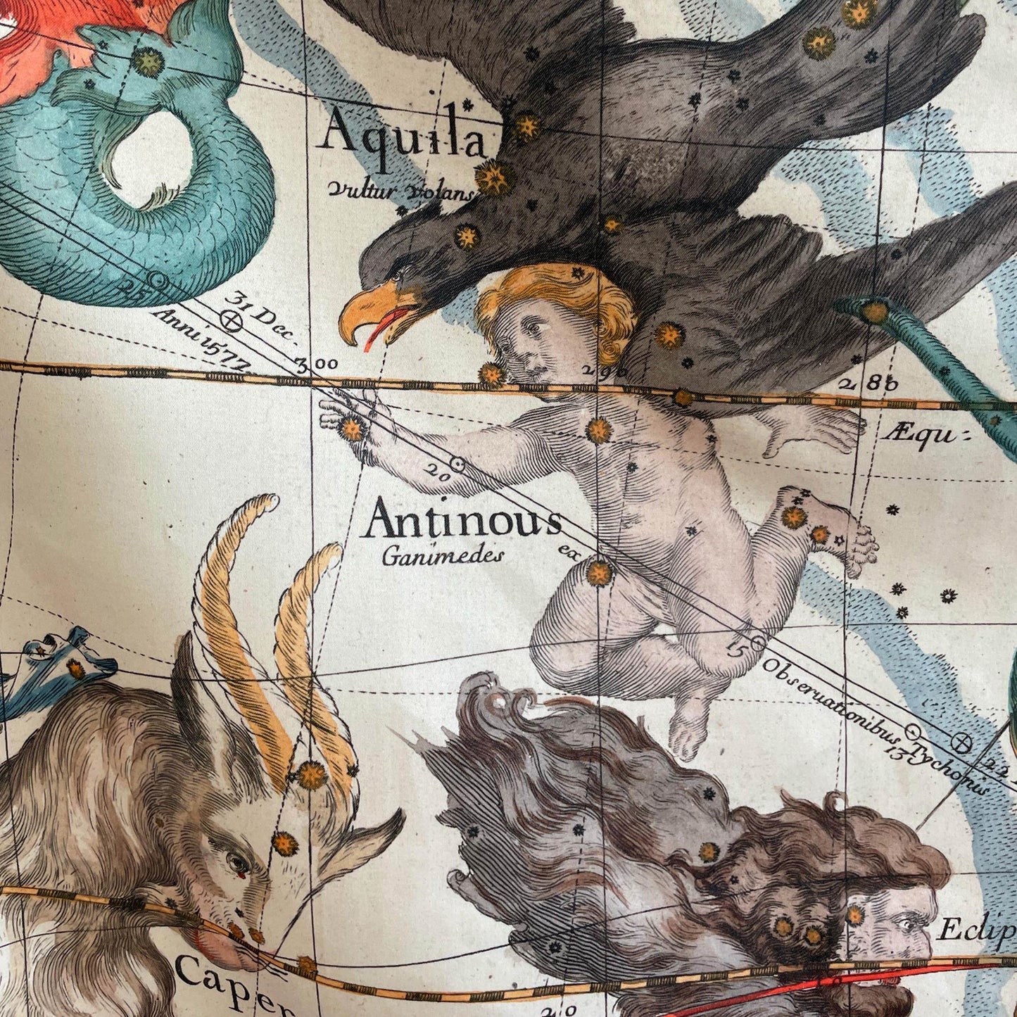 Aquila and Antinous constellations — design detail from the 1693 Pardies celestial star chart tapestry.
