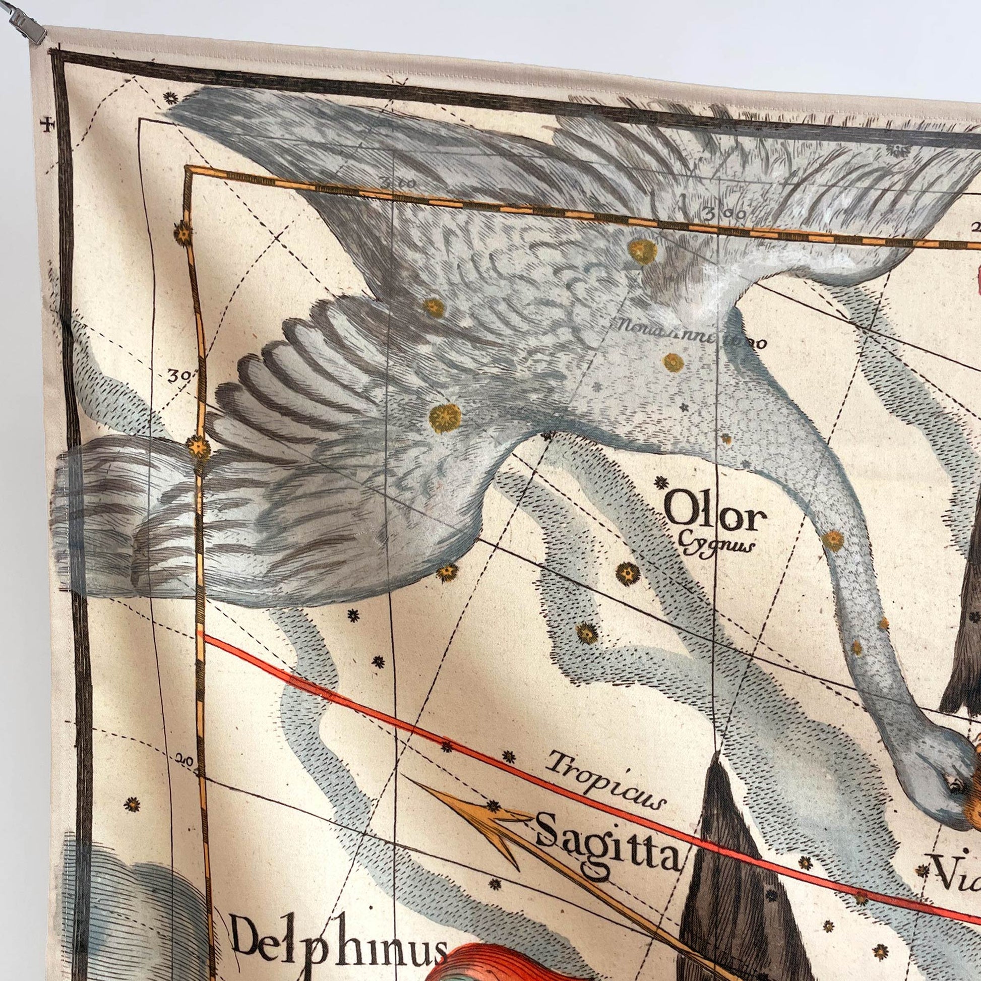 Cygnus swan constellation — design detail from the 1693 Pardies celestial star chart tapestry.