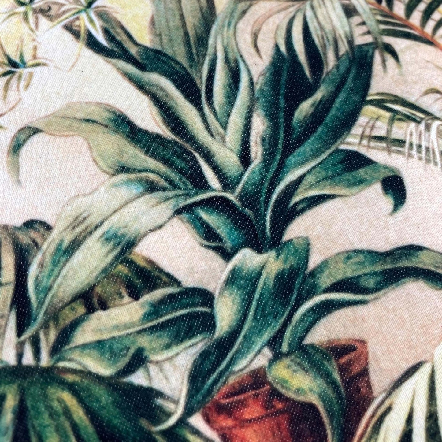 Deep green potted foliage — illustration detail from the 19th-century Victorian conservatory plate.
