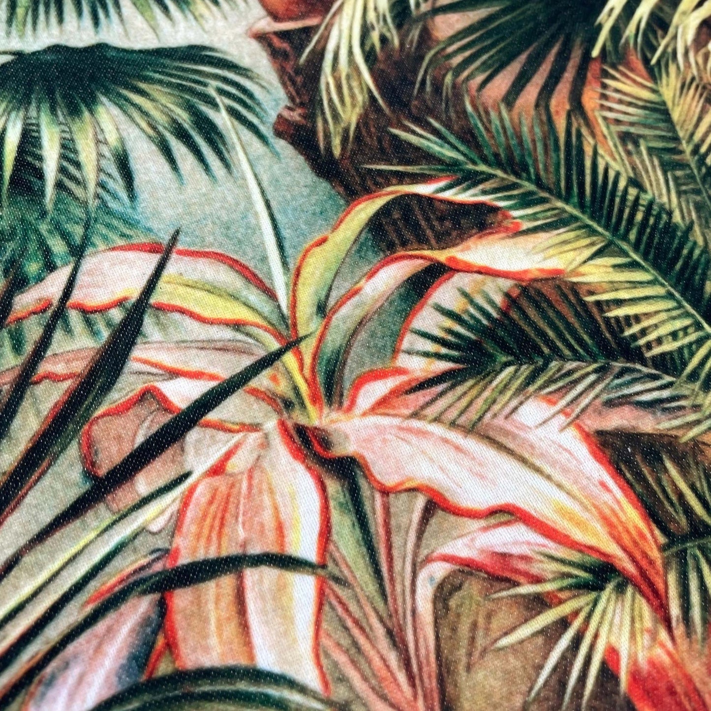 Warm-toned exotic leaves — illustration detail from the 19th-century Victorian conservatory plate.