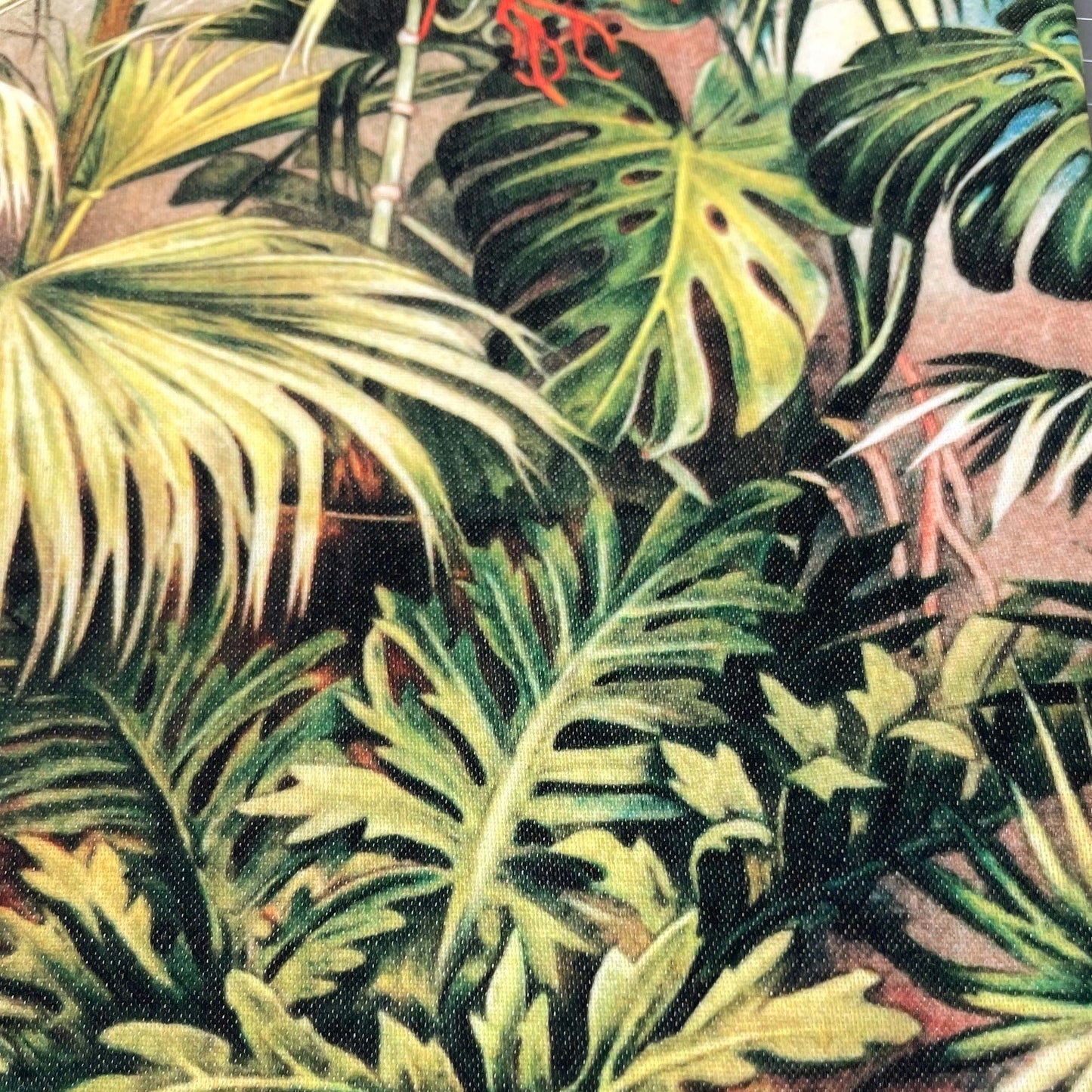 Monstera leaf and surrounding foliage — illustration detail from the 19th-century Victorian conservatory plate.