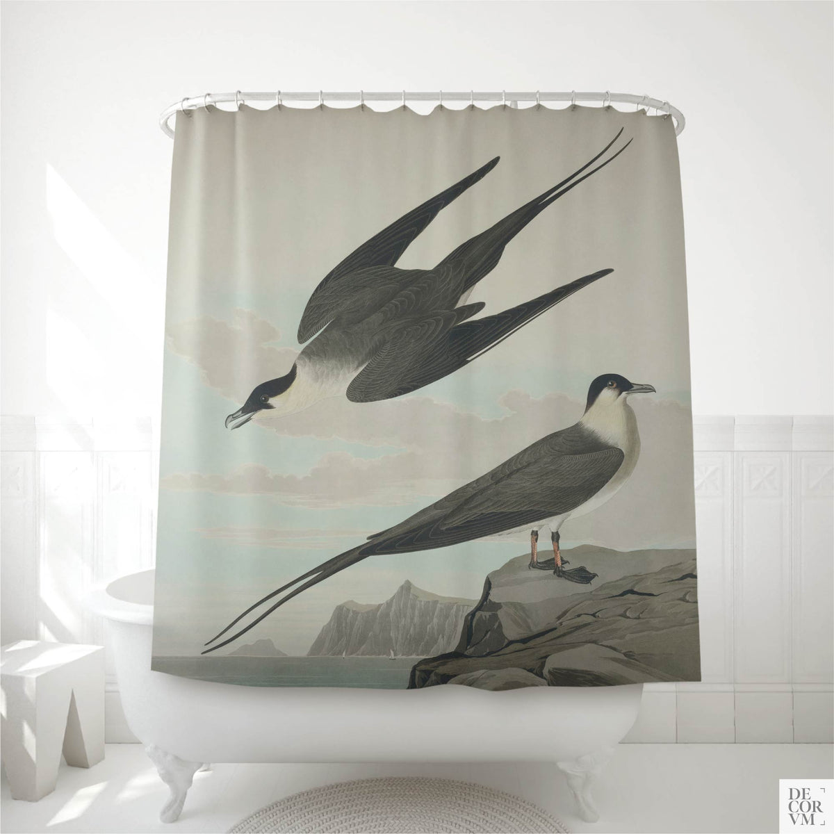 Arctic jaeger shower curtain displayed in a white bathroom — two seabirds, one soaring in flight and one perched on coastal rocks, with distant Arctic mountains and pale blue sea.