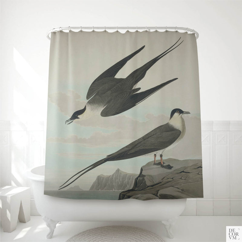 Arctic jaeger shower curtain displayed in a white bathroom — two seabirds, one soaring in flight and one perched on coastal rocks, with distant Arctic mountains and pale blue sea.
