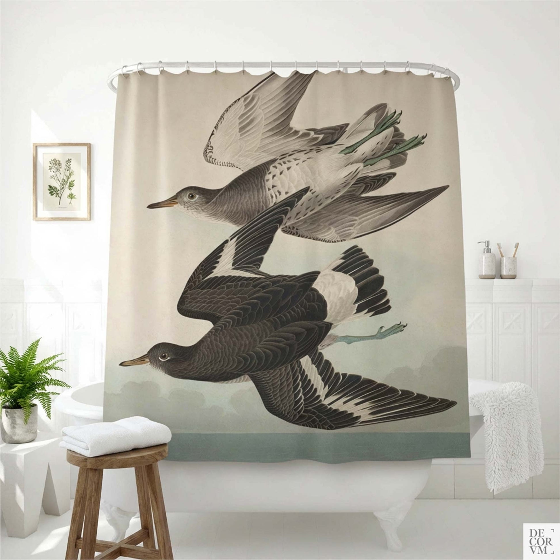 Audubon sandpiper shower curtain hanging over a white clawfoot bathtub — two vintage shorebirds in flight from Audubon's Birds of America, by Decorvm.
