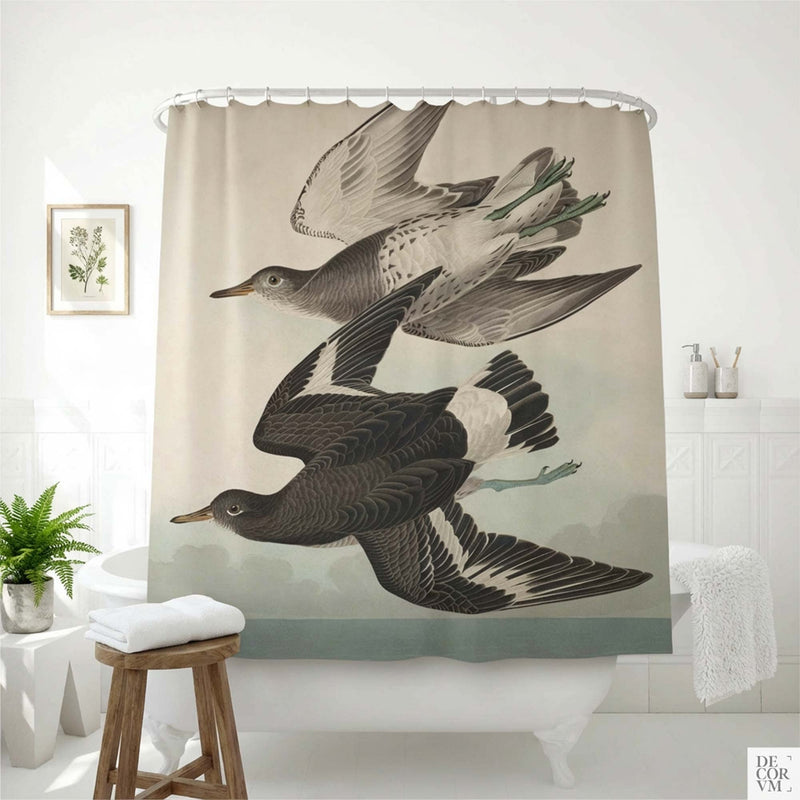 Audubon sandpiper shower curtain hanging over a white clawfoot bathtub — two vintage shorebirds in flight from Audubon's Birds of America, by Decorvm.