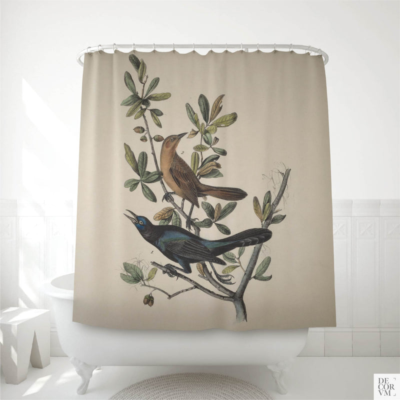 Boat-tailed grackle shower curtain displayed in a white bathroom — iridescent blue-black male and warm brown female perched on a live oak branch with glossy dark green leaves and acorns on a cream background.