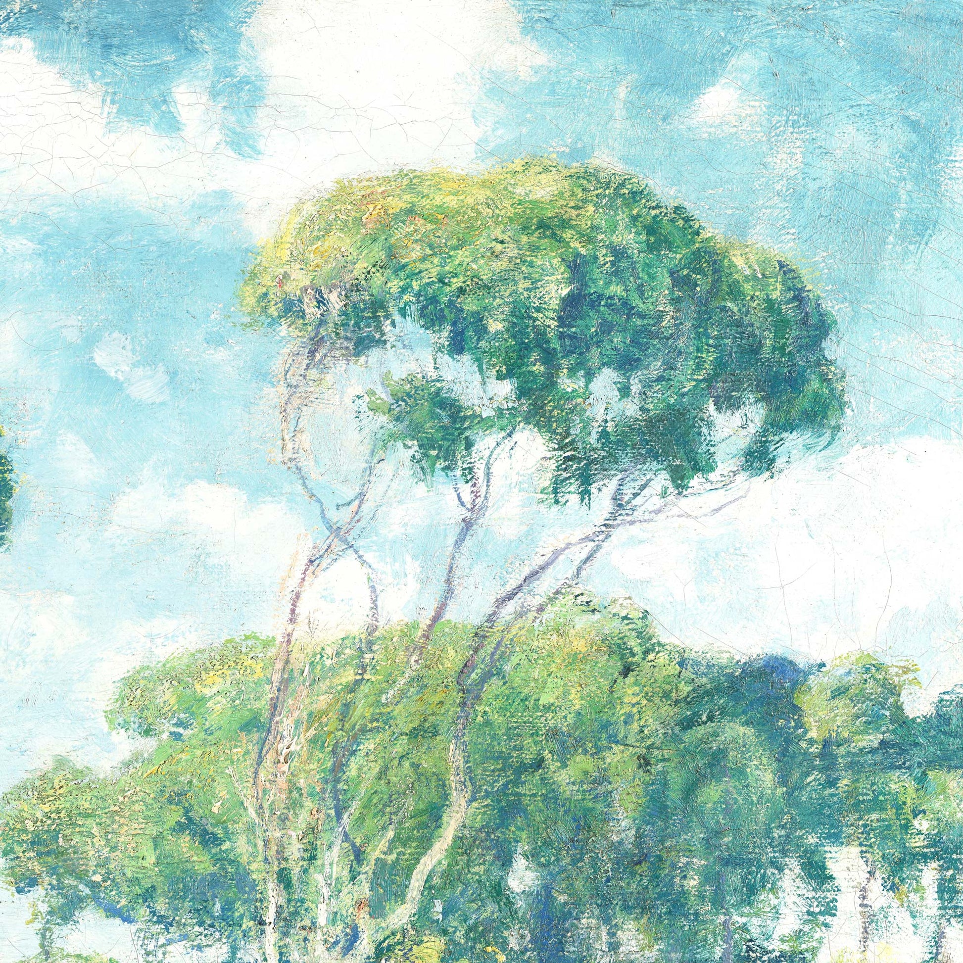 Eucalyptus coastal artwork detail — textured canopy of eucalyptus trees against a vibrant blue sky with authentic vintage craquelure and expressive brushstrokes