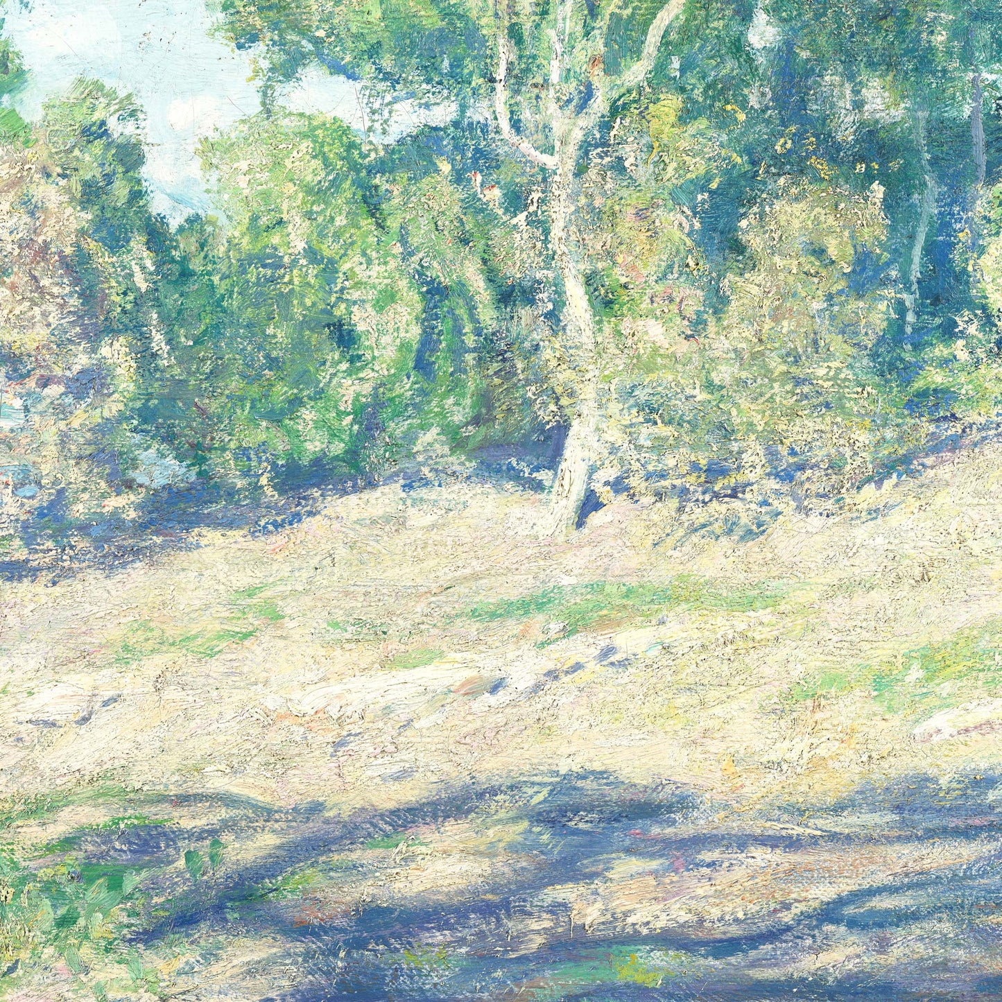 Eucalyptus coastal artwork detail — deep purple and blue shadows across a sunlit grassy foreground with heavy impasto oil paint and plein air technique