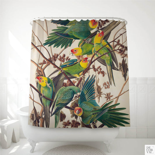 Audubon Carolina Parakeet shower curtain over a white clawfoot bathtub — Plate 26 from Birds of America with seven green and gold parakeets by Decorvm.