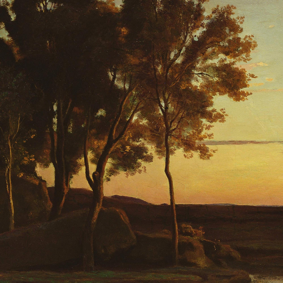 Detail of twilight landscape — tall silhouetted trees with golden-lit foliage edges against pink-golden sunset sky and dark boulders