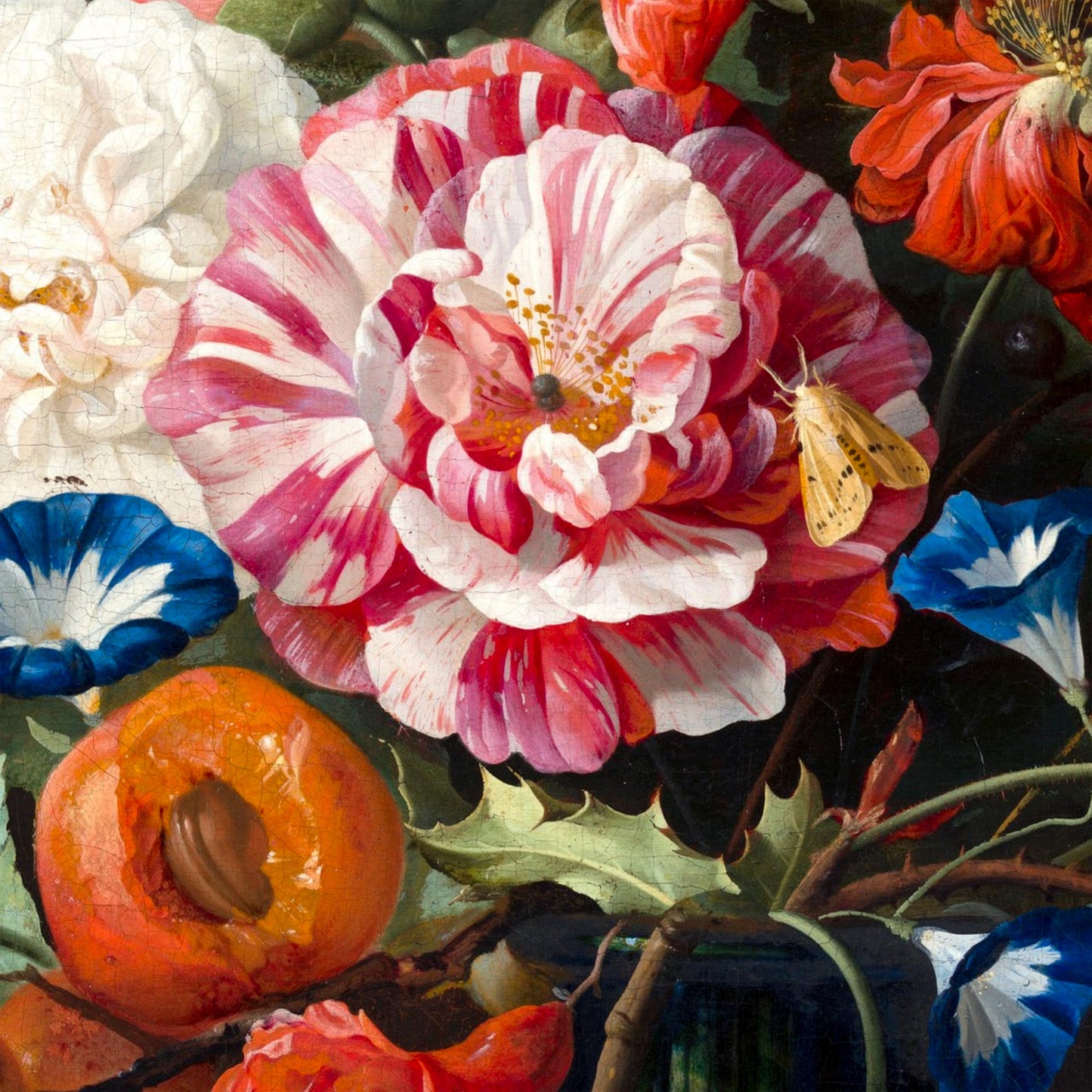 Close-up of the Dutch Floral cushion print, showing a pink striped blossom, an apricot, and a delicate yellow moth from Jan Davidsz de Heem's still life.